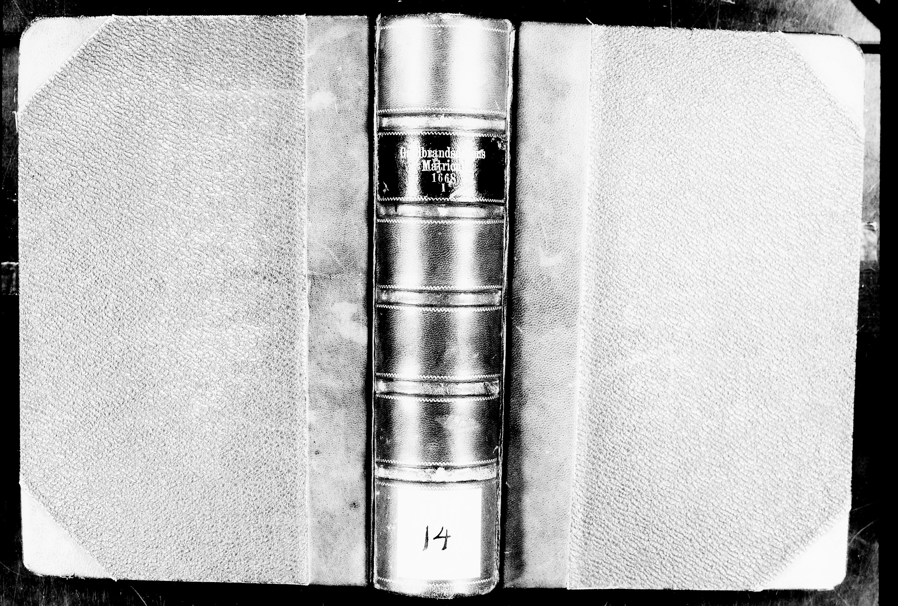 Rentekammeret inntil 1814, Realistisk ordnet avdeling, RA/EA-4070/N/Nb/Nba/L0014: Gudbrandsdalen fogderi, 1. del, 1668