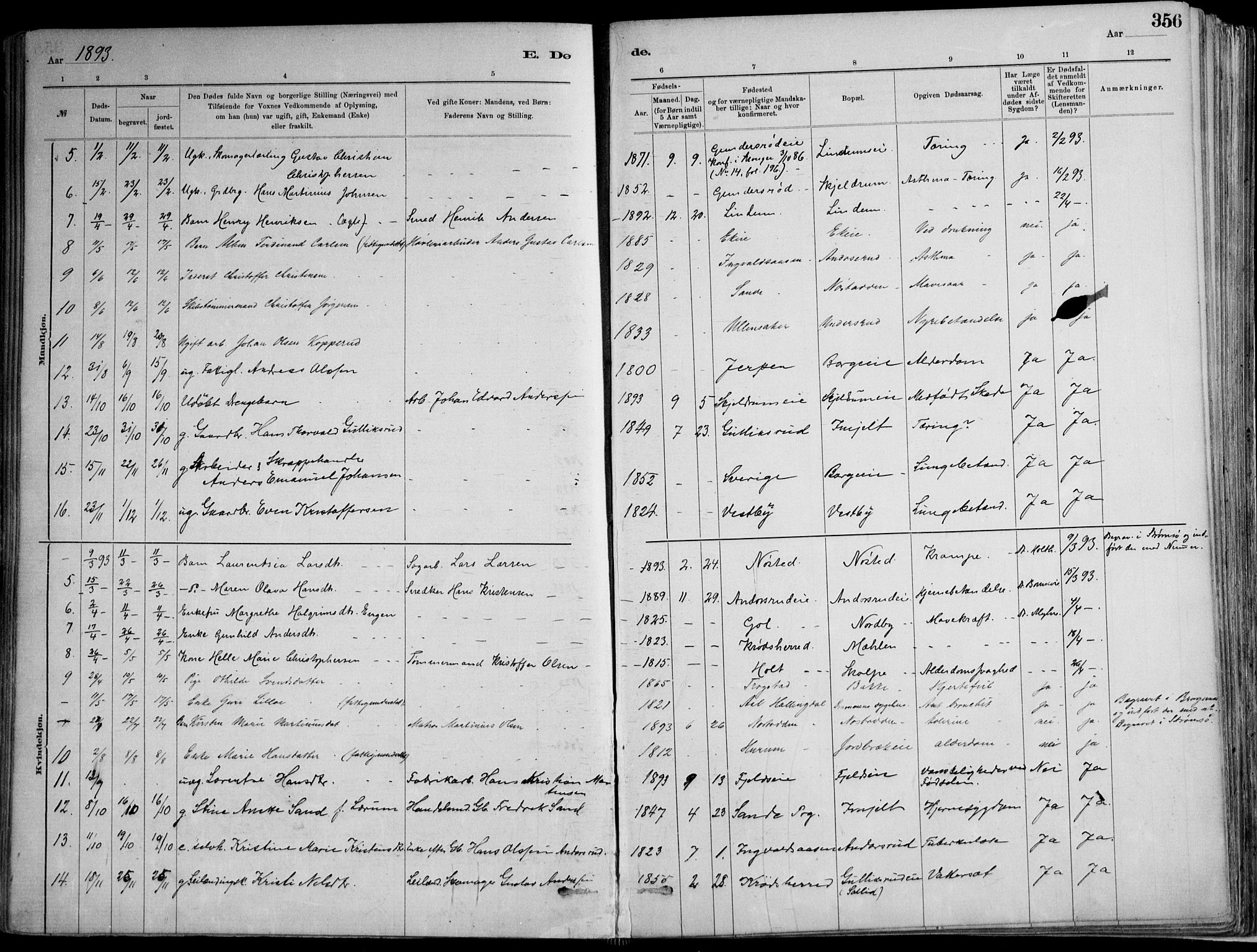 Skoger kirkebøker, AV/SAKO-A-59/F/Fa/L0006: Ministerialbok nr. I 6, 1885-1910, s. 356