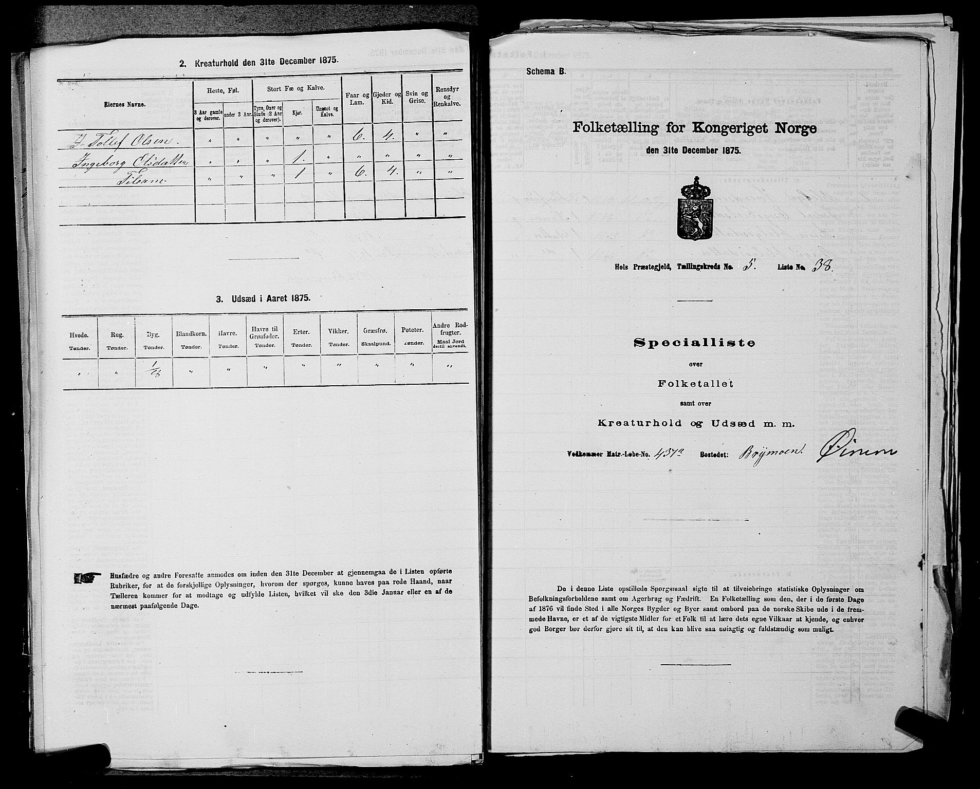 SAKO, Folketelling 1875 for 0620P Hol prestegjeld, 1875, s. 710