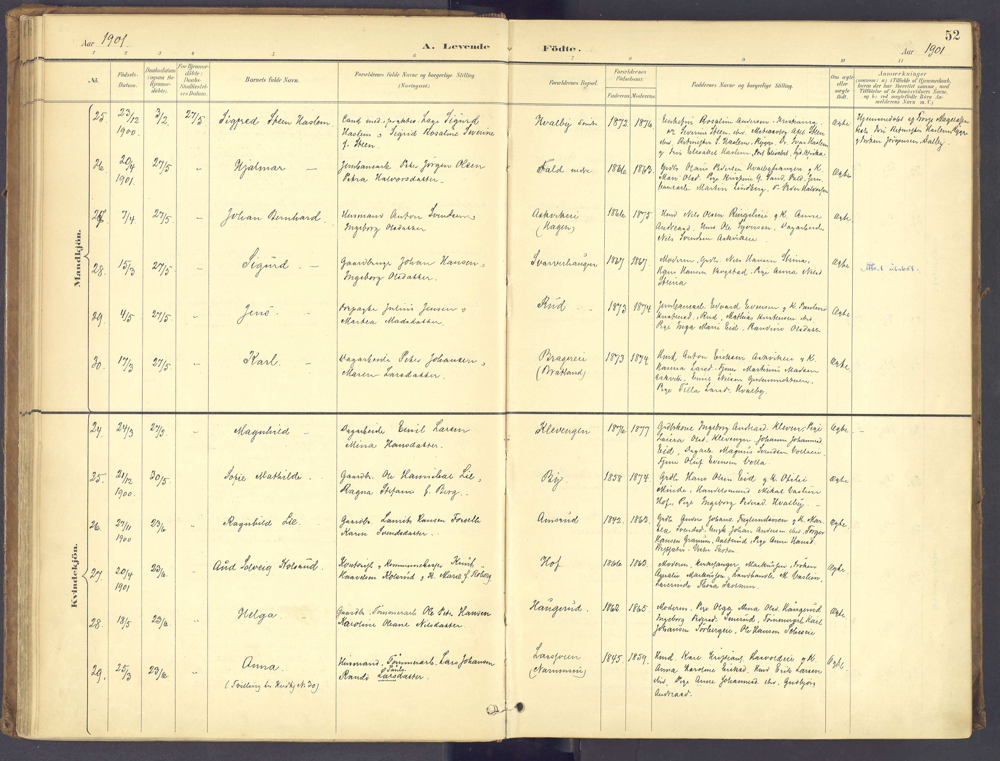 Søndre Land prestekontor, AV/SAH-PREST-122/K/L0006: Ministerialbok nr. 6, 1895-1904, s. 52