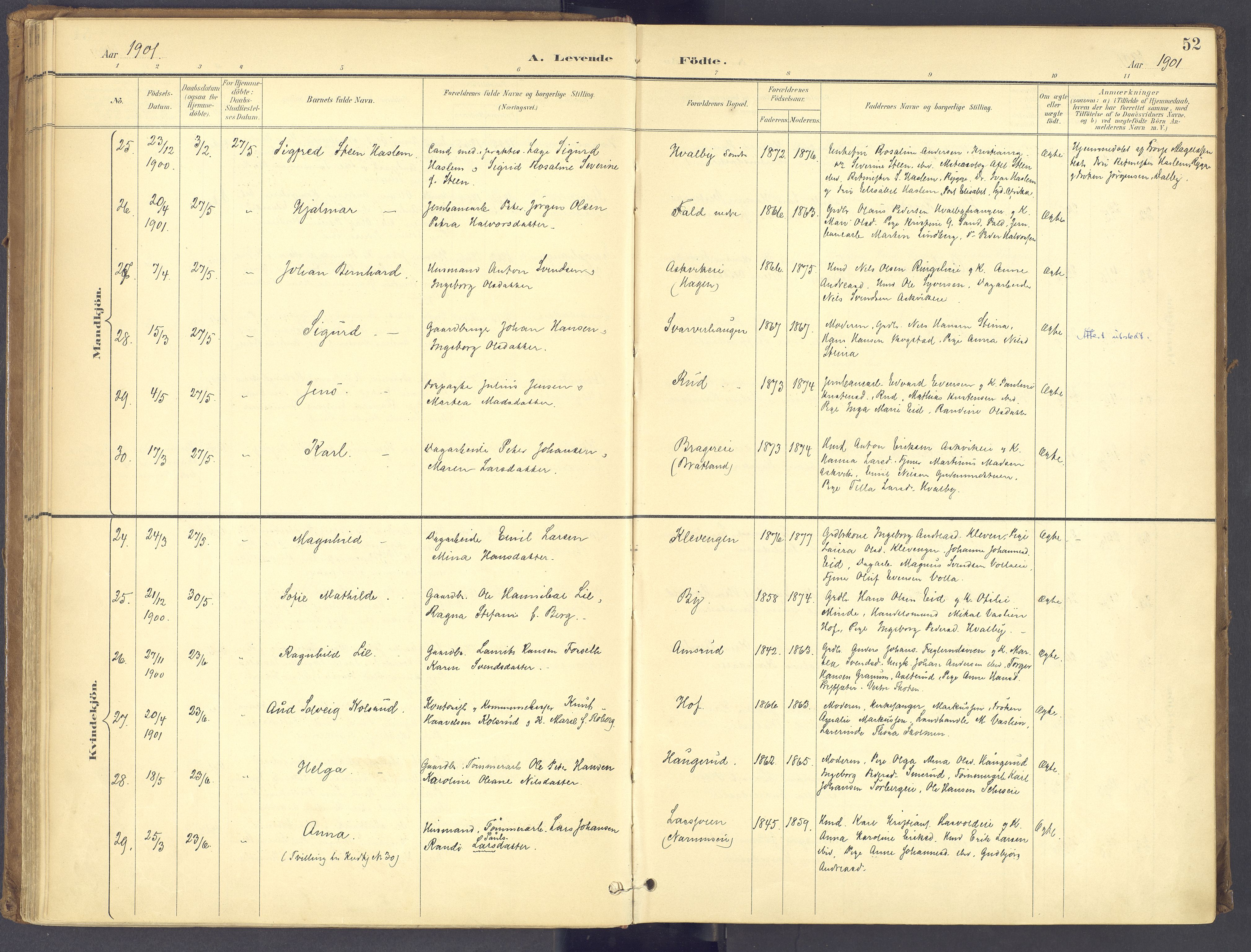 Søndre Land prestekontor, SAH/PREST-122/K/L0006: Ministerialbok nr. 6, 1895-1904, s. 52