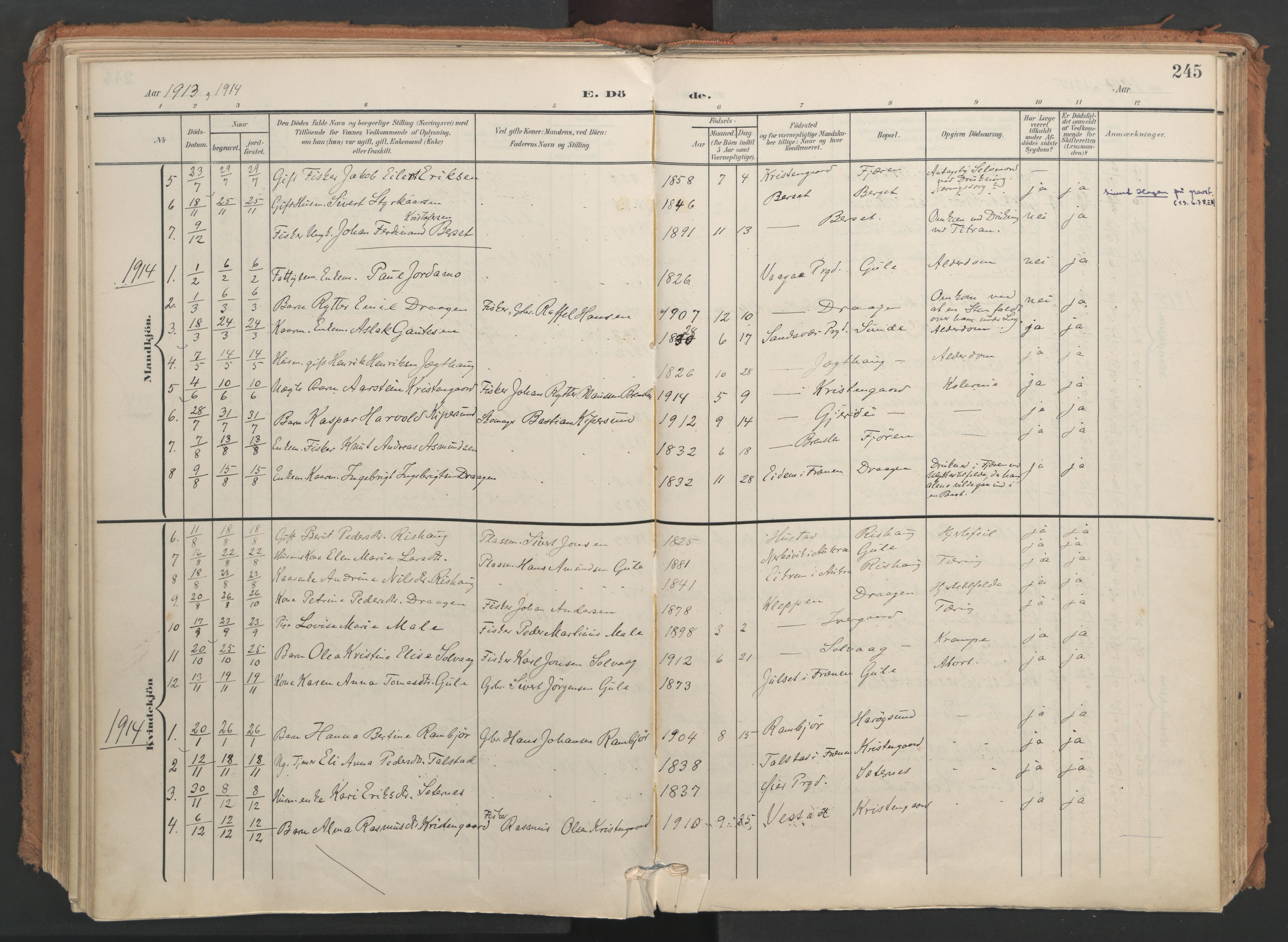 Ministerialprotokoller, klokkerbøker og fødselsregistre - Møre og Romsdal, AV/SAT-A-1454/566/L0771: Ministerialbok nr. 566A10, 1904-1929, s. 245