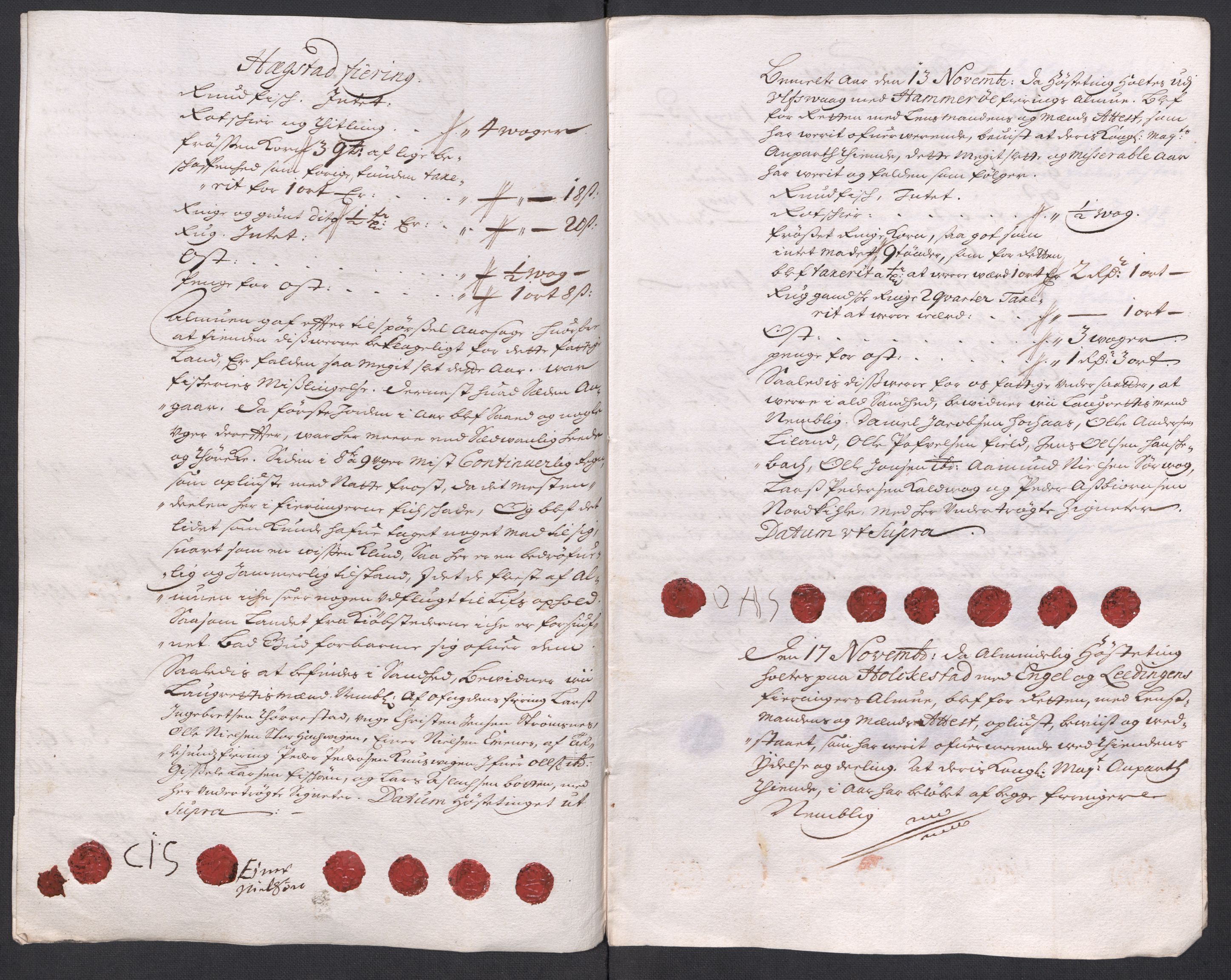 Rentekammeret inntil 1814, Reviderte regnskaper, Fogderegnskap, AV/RA-EA-4092/R66/L4587: Fogderegnskap Salten, 1717, s. 287