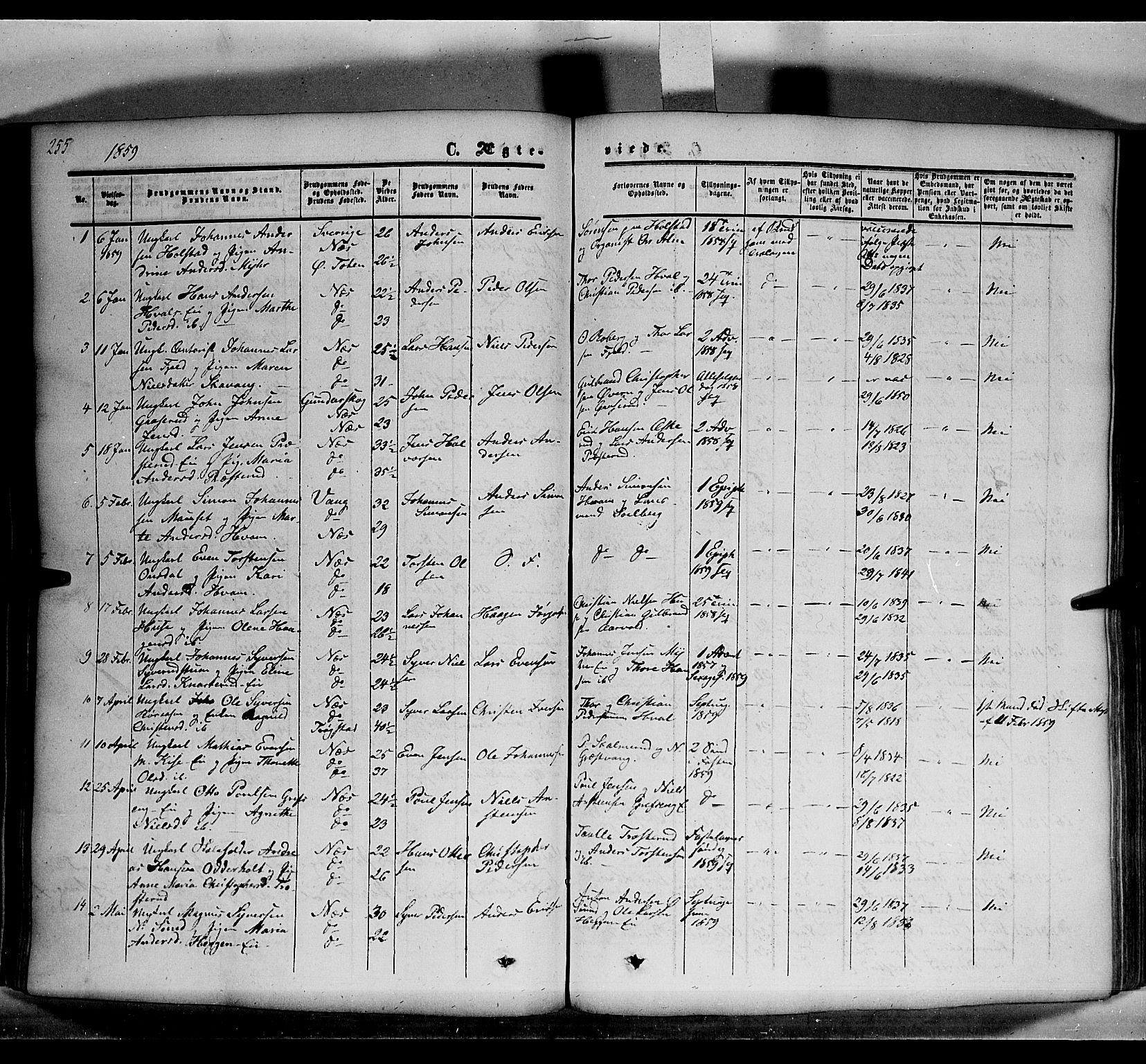 Nes prestekontor, Hedmark, SAH/PREST-020/K/Ka/L0004: Ministerialbok nr. 4, 1852-1886, s. 255