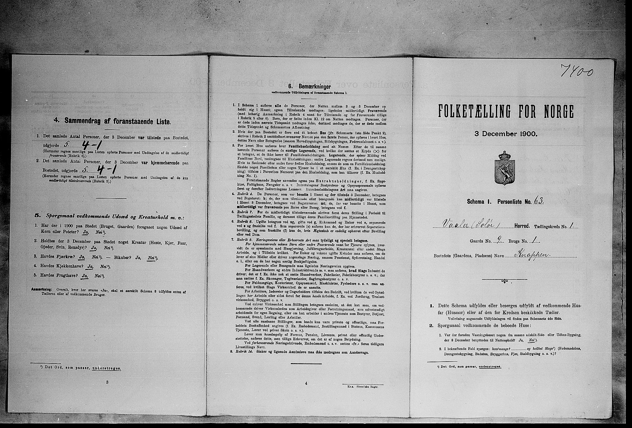 SAH, Folketelling 1900 for 0426 Våler herred, 1900, s. 228