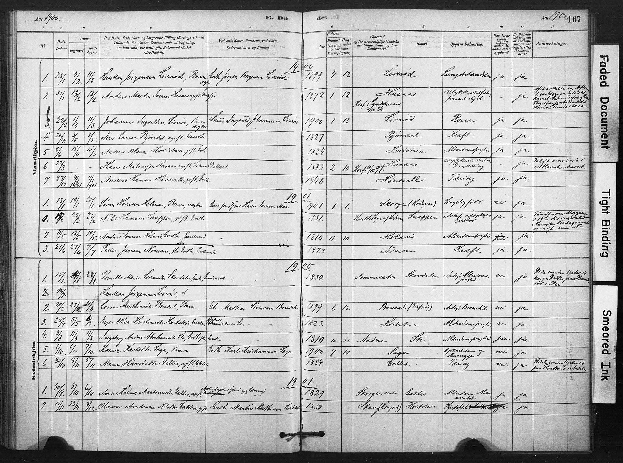 Andebu kirkebøker, AV/SAKO-A-336/F/Fc/L0001: Ministerialbok nr. III 1, 1878-1902, s. 167