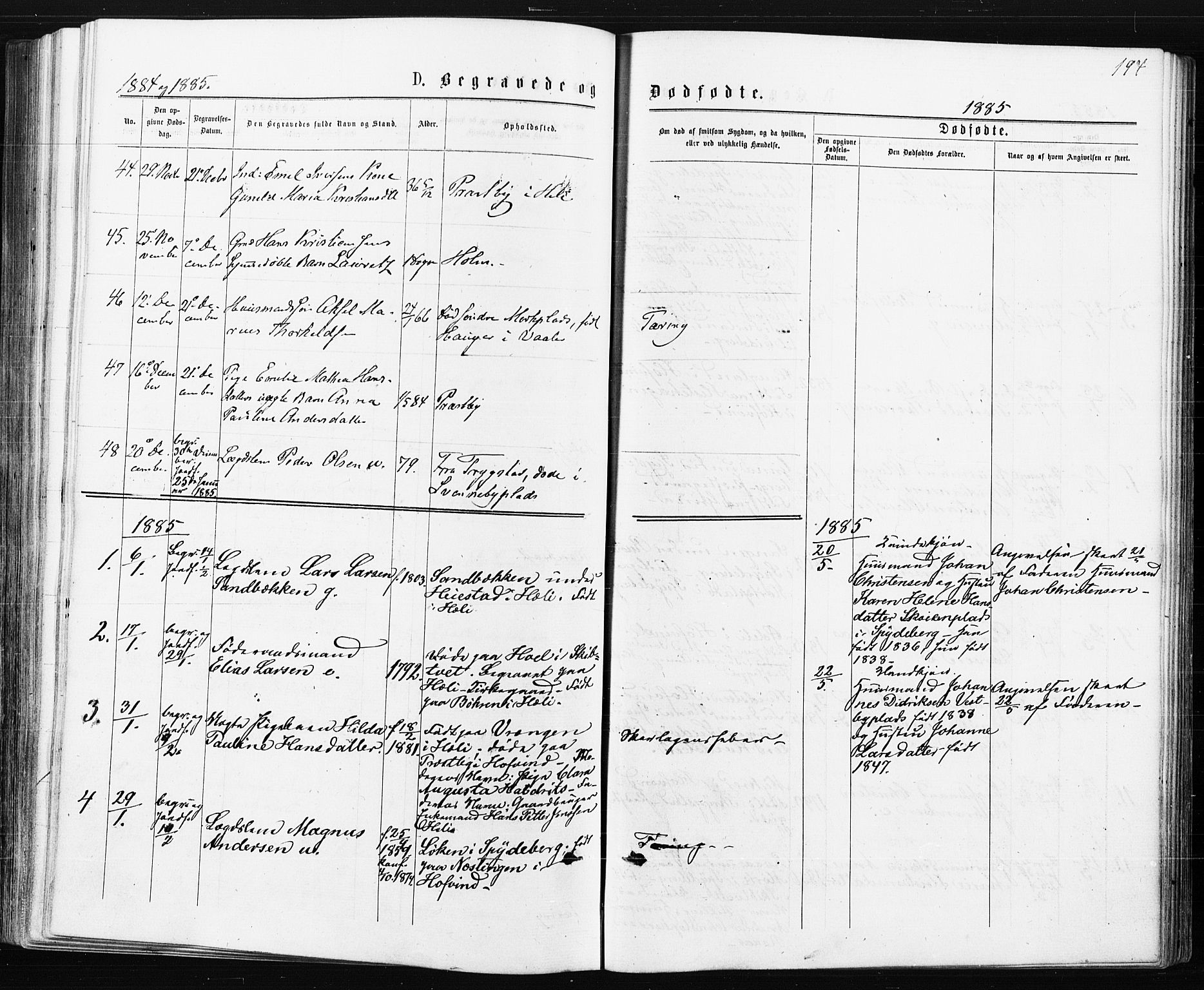 Spydeberg prestekontor Kirkebøker, AV/SAO-A-10924/F/Fa/L0007: Ministerialbok nr. I 7, 1875-1885, s. 194