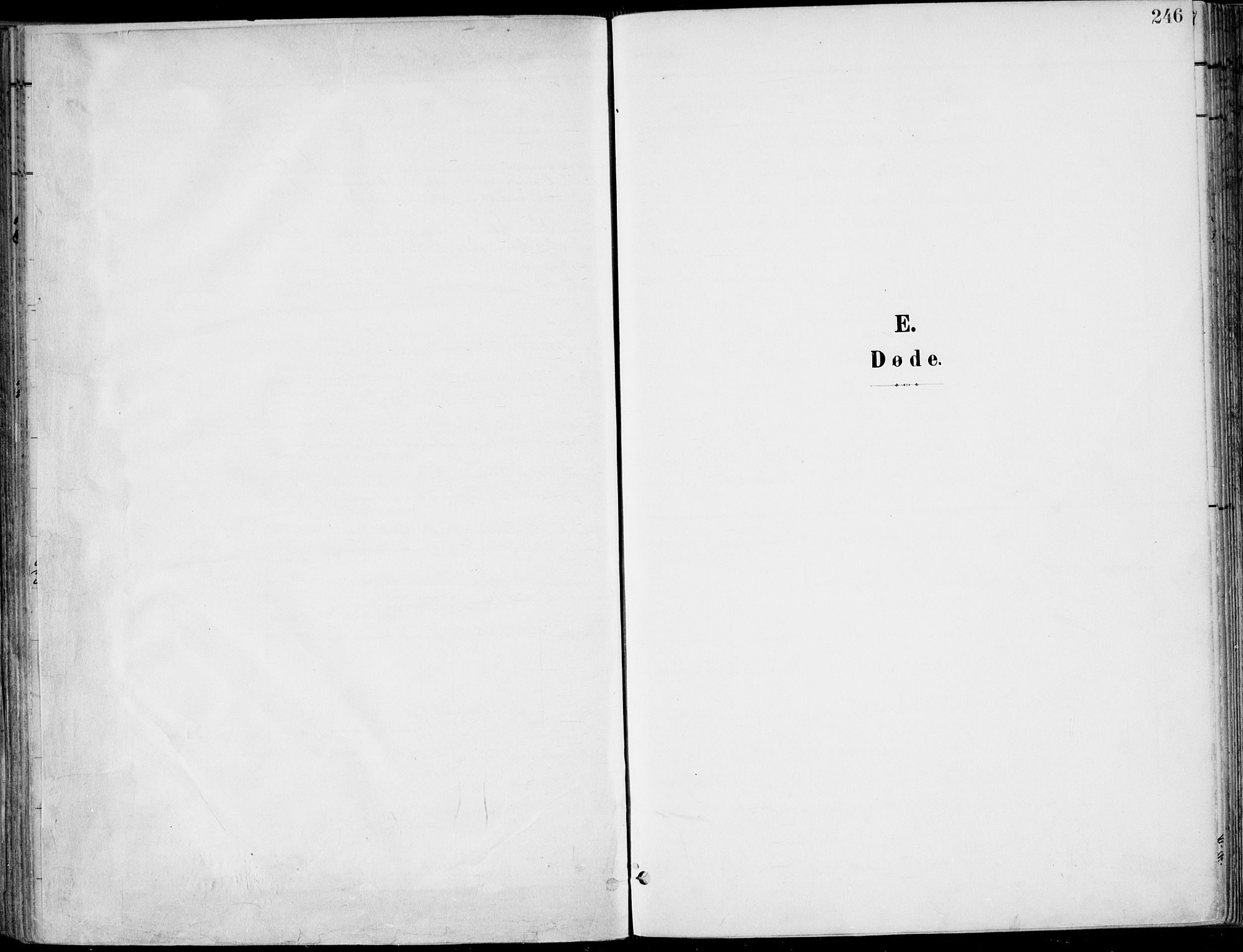Røyken kirkebøker, AV/SAKO-A-241/F/Fa/L0009: Ministerialbok nr. 9, 1898-1911, s. 246