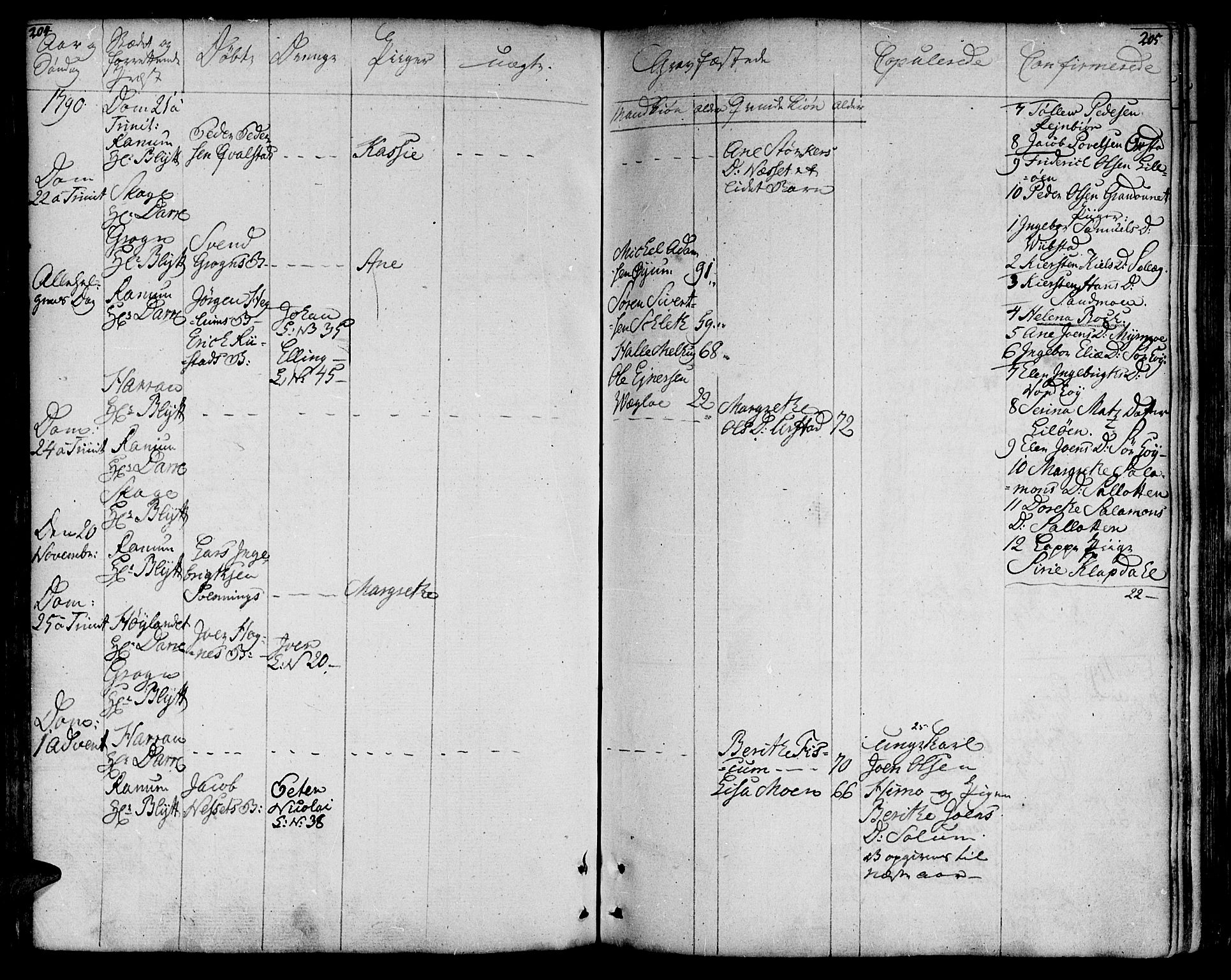 Ministerialprotokoller, klokkerbøker og fødselsregistre - Nord-Trøndelag, AV/SAT-A-1458/764/L0544: Ministerialbok nr. 764A04, 1780-1798, s. 204-205