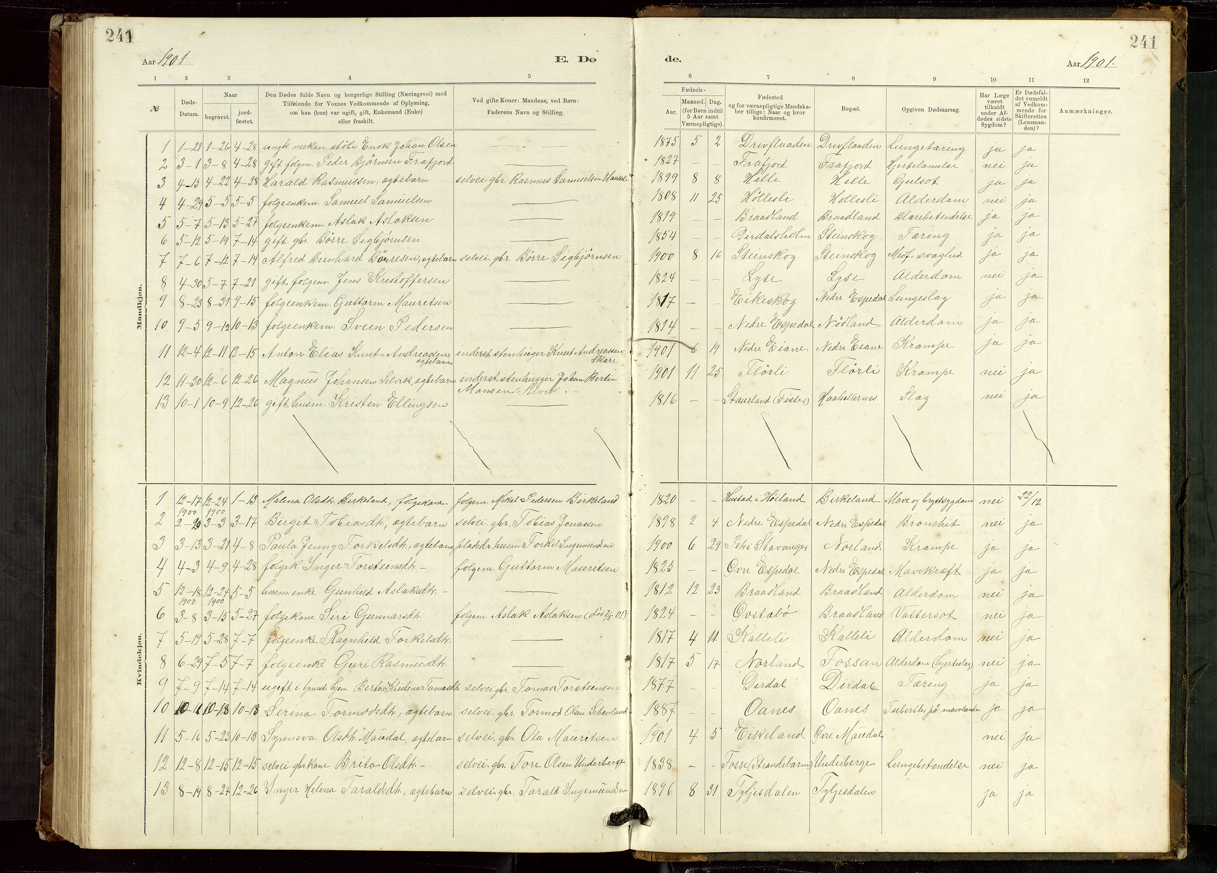 Høgsfjord sokneprestkontor, SAST/A-101624/H/Ha/Hab/L0009: Klokkerbok nr. B 9, 1883-1920, s. 241