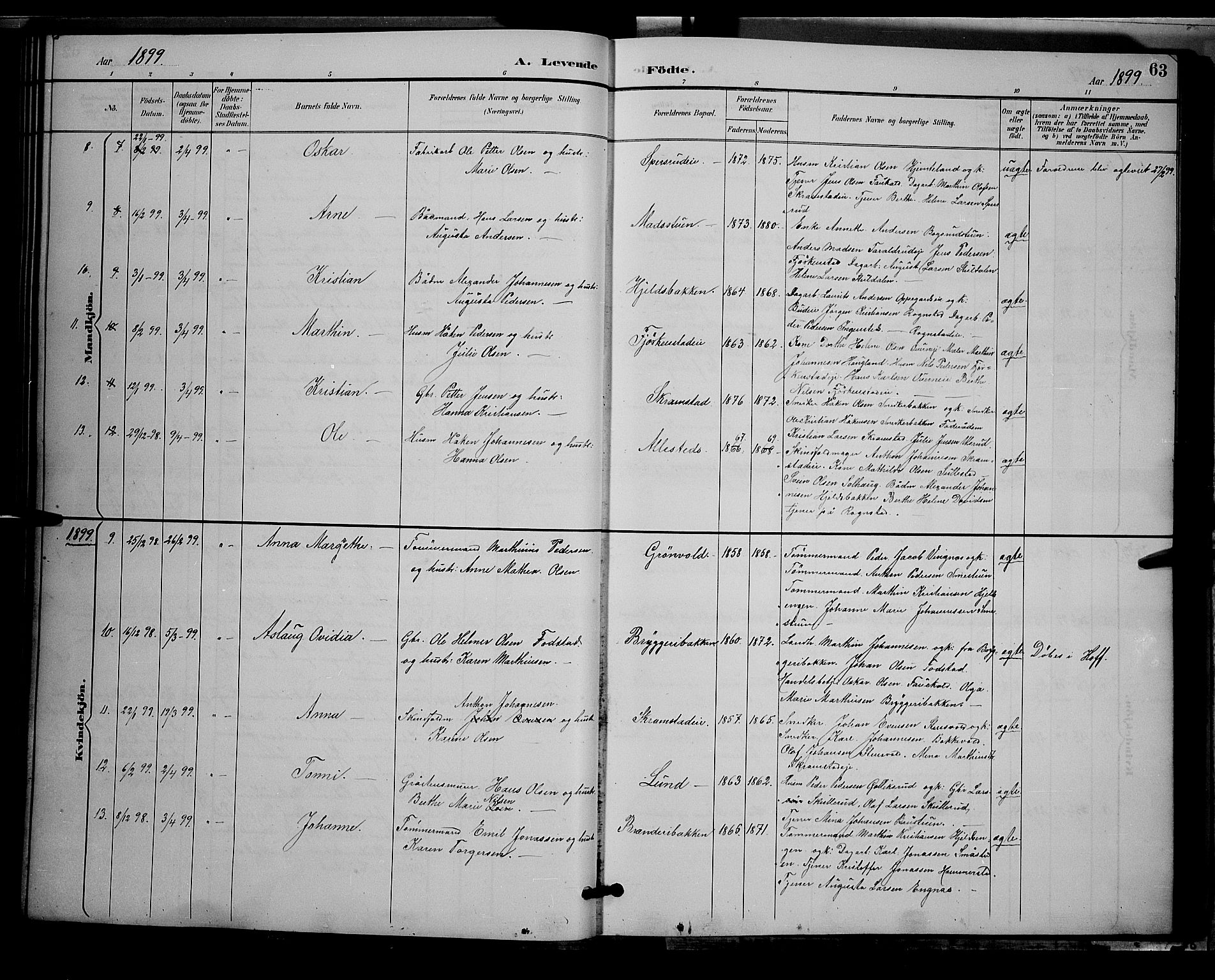 Østre Toten prestekontor, AV/SAH-PREST-104/H/Ha/Hab/L0006: Klokkerbok nr. 6, 1893-1901, s. 63