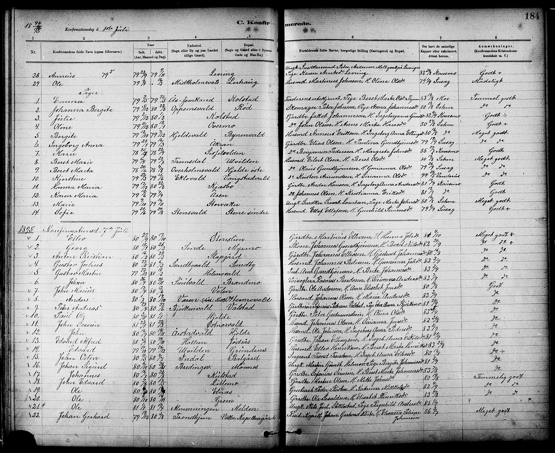 Ministerialprotokoller, klokkerbøker og fødselsregistre - Nord-Trøndelag, SAT/A-1458/724/L0267: Klokkerbok nr. 724C03, 1879-1898, s. 184