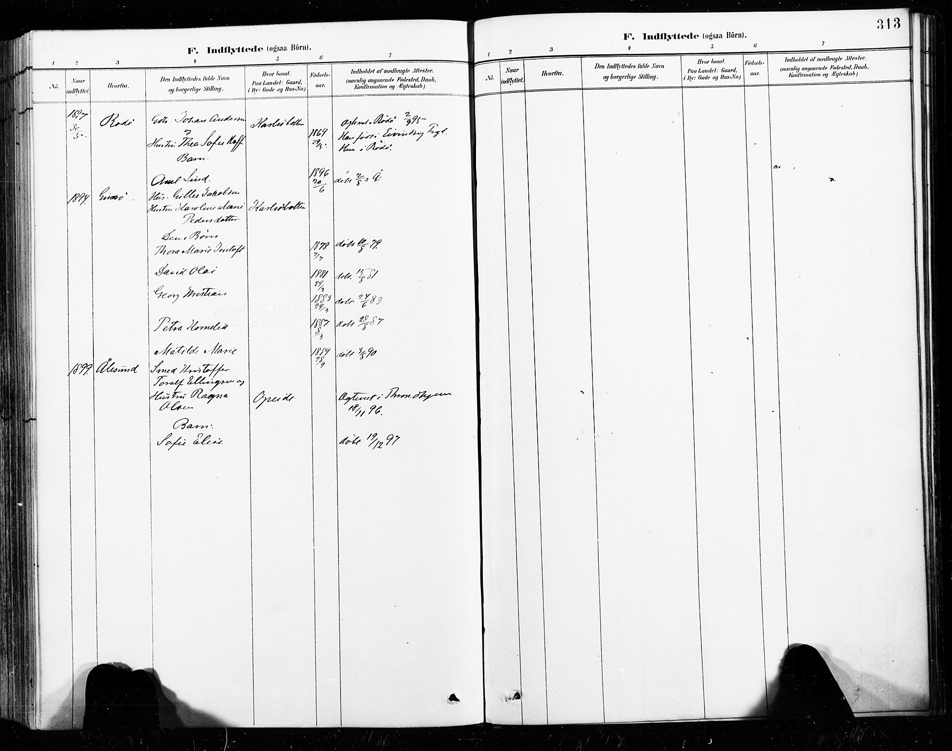 Ministerialprotokoller, klokkerbøker og fødselsregistre - Nordland, SAT/A-1459/859/L0847: Ministerialbok nr. 859A07, 1890-1899, s. 313