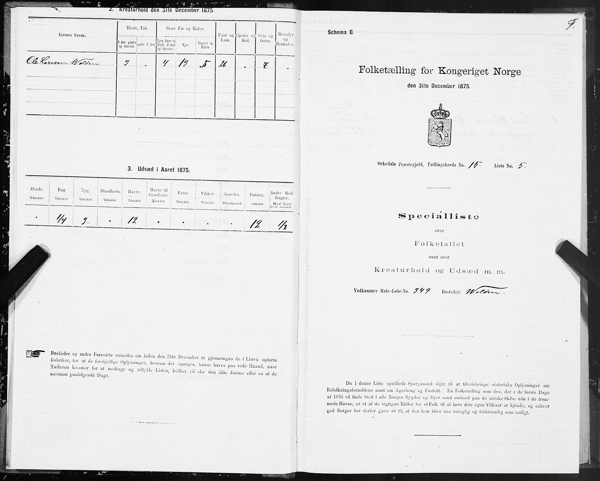 SAT, Folketelling 1875 for 1638P Orkdal prestegjeld, 1875, s. 8009