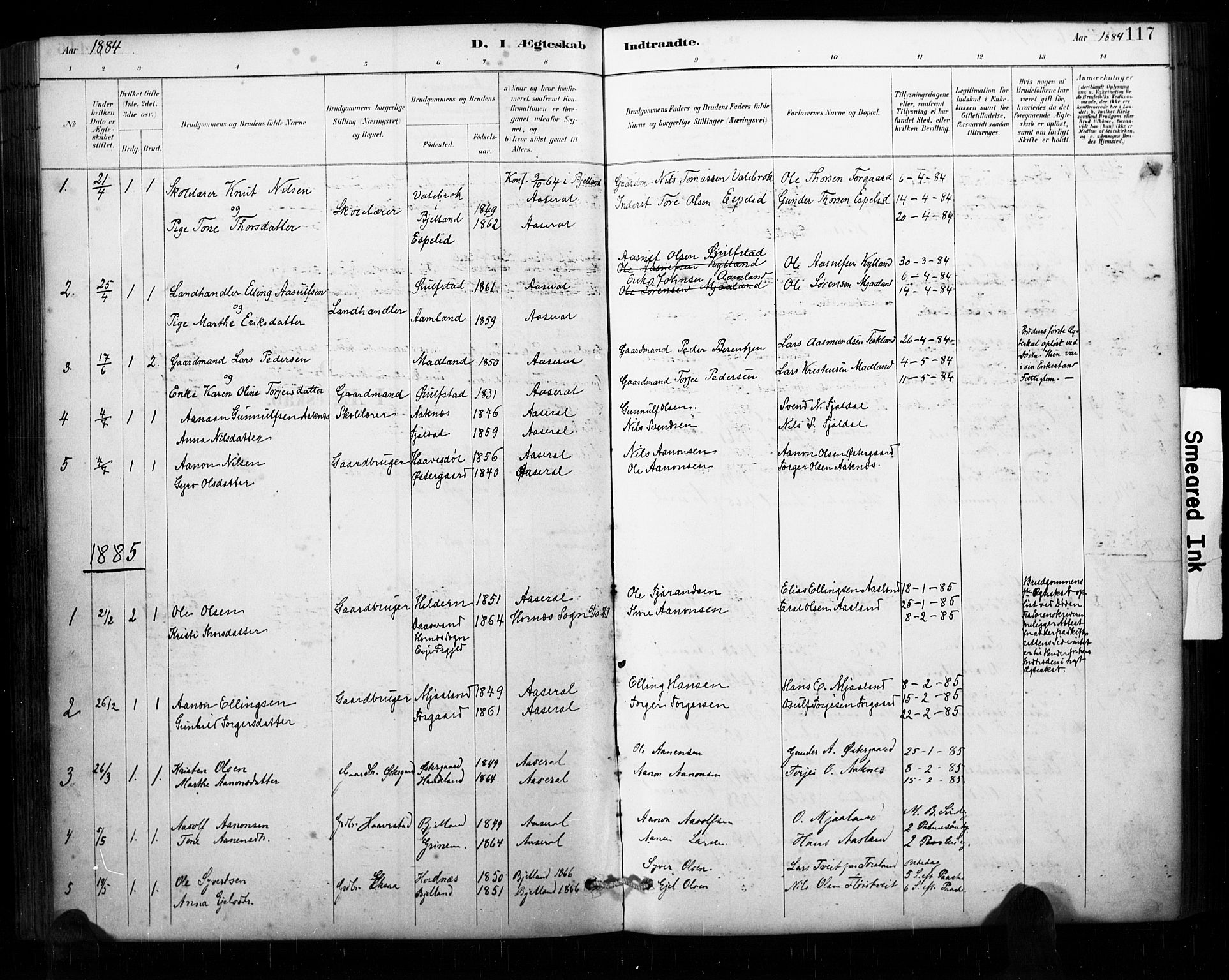 Åseral sokneprestkontor, AV/SAK-1111-0051/F/Fa/L0003: Ministerialbok nr. A 3, 1884-1901, s. 117