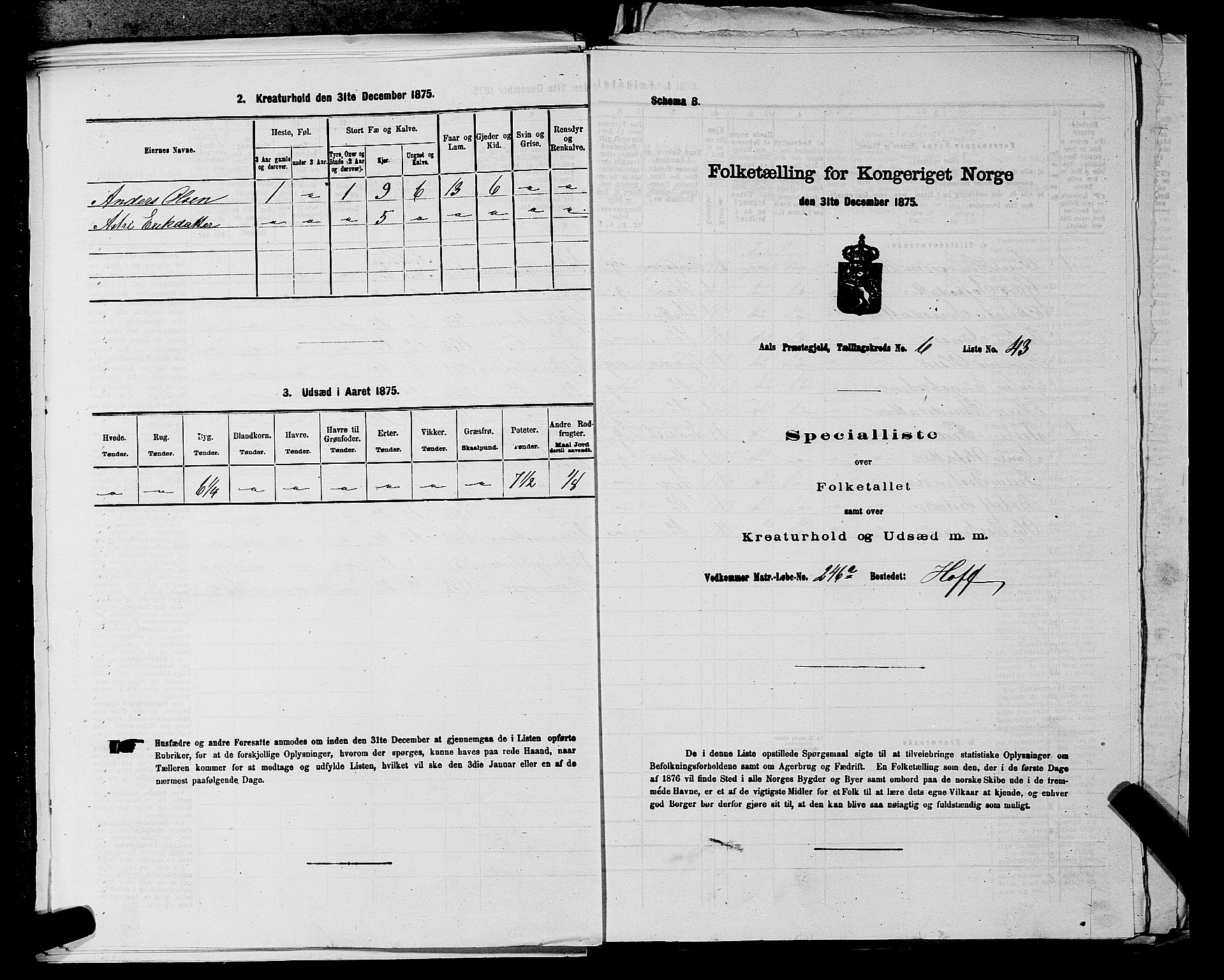 SAKO, Folketelling 1875 for 0619P Ål prestegjeld, 1875, s. 826
