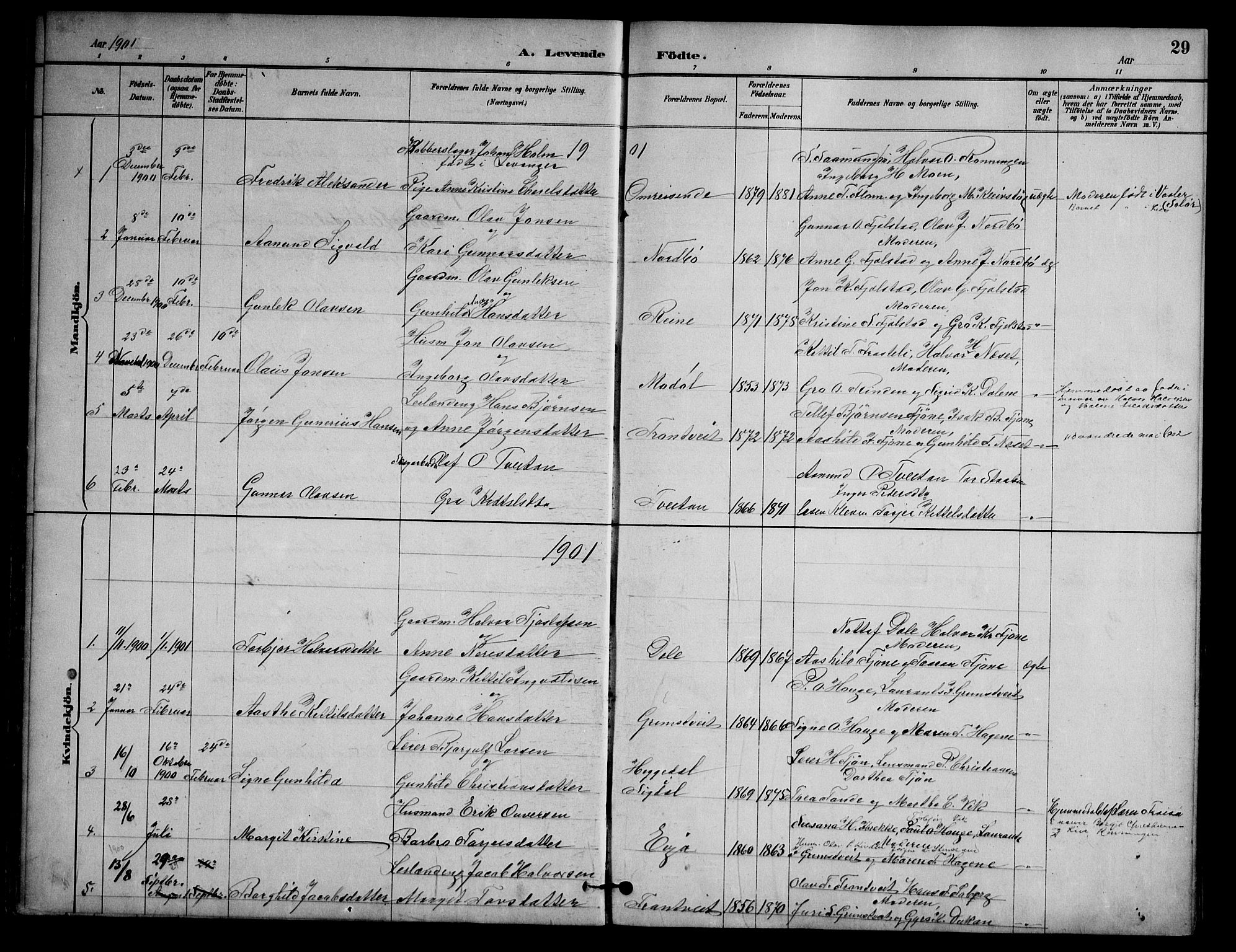 Nissedal kirkebøker, AV/SAKO-A-288/G/Ga/L0003: Klokkerbok nr. I 3, 1887-1911, s. 29