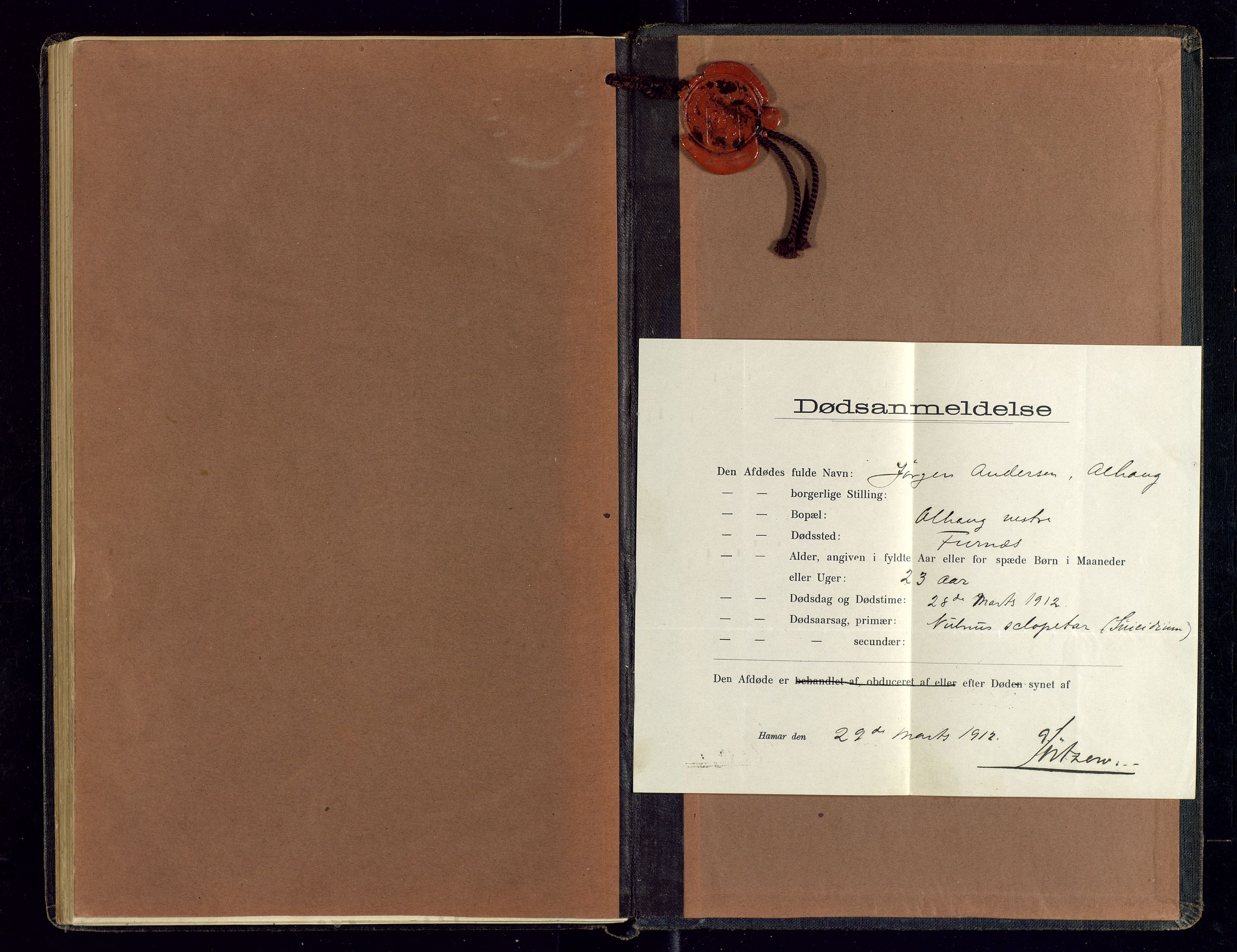 Brumunddal lensmannskontor, SAH/LHR-012/H/Ha/L0001/0001: Dødsfallsprotokoller / Dødsfallsprotokoll, 1895-1913