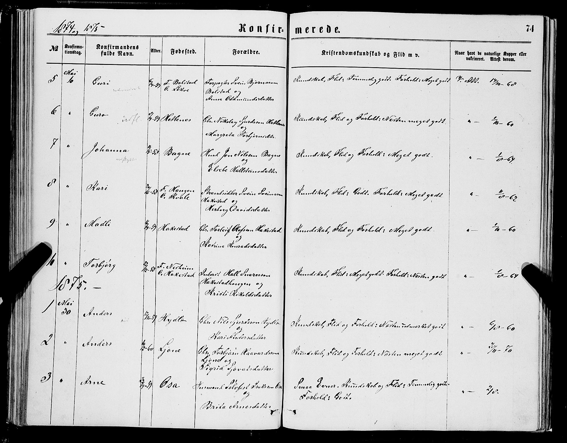 Ulvik sokneprestembete, AV/SAB-A-78801/H/Hab: Klokkerbok nr. A 2, 1869-1882, s. 74