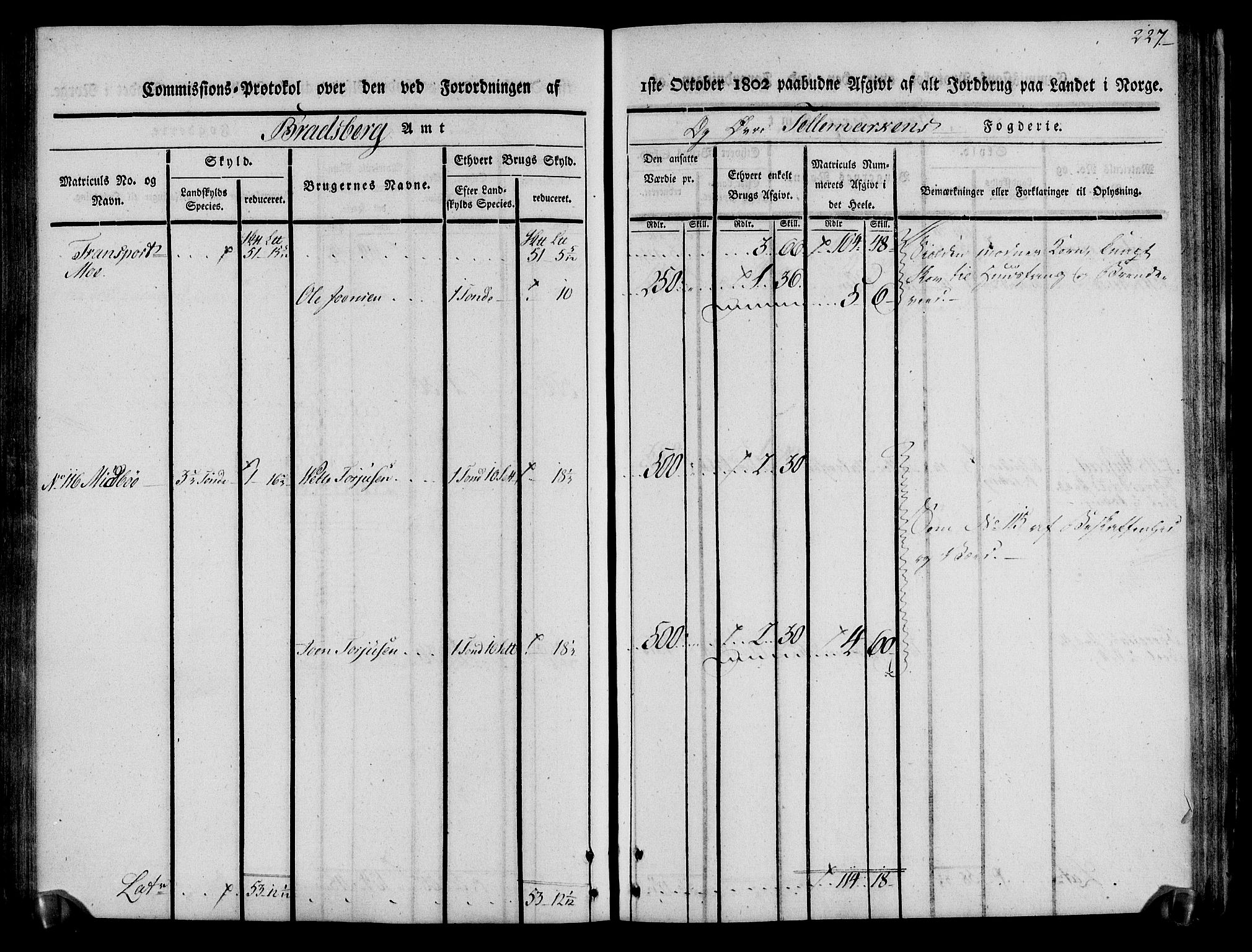 Rentekammeret inntil 1814, Realistisk ordnet avdeling, AV/RA-EA-4070/N/Ne/Nea/L0075: Øvre Telemarken fogderi. Kommisjonsprotokoll for fogderiets vestre del - Kviteseid, Vinje, Moland [):Fyresdal] og Lårdal prestegjeld., 1803, s. 229