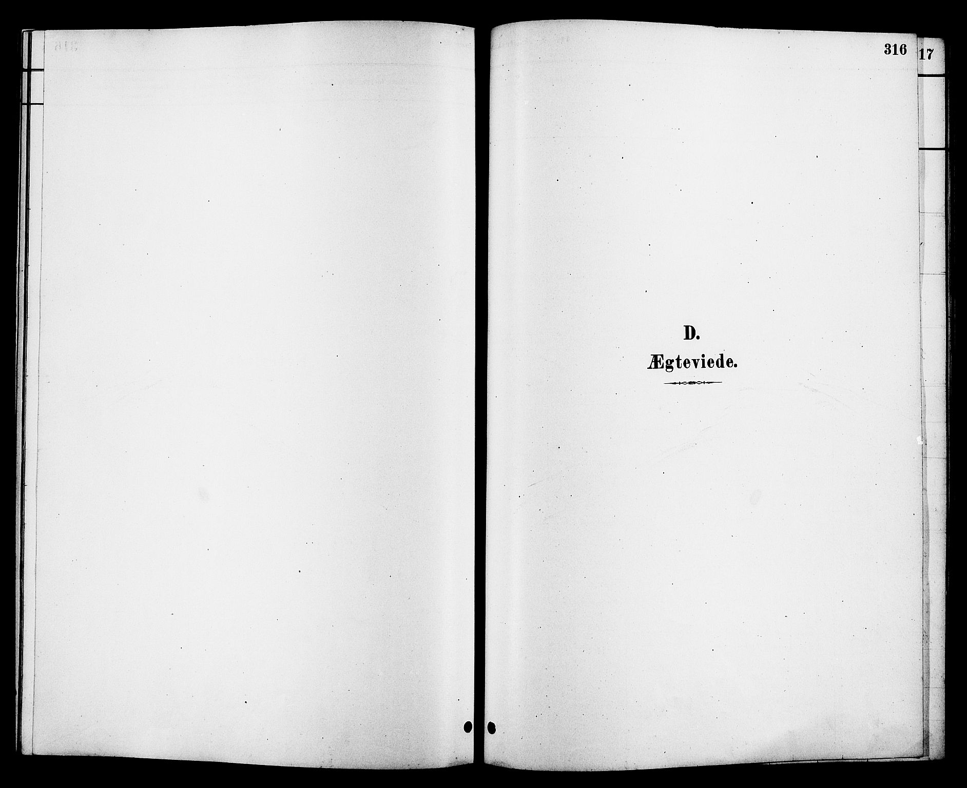 Heddal kirkebøker, SAKO/A-268/G/Ga/L0002: Klokkerbok nr. I 2, 1879-1908, s. 316