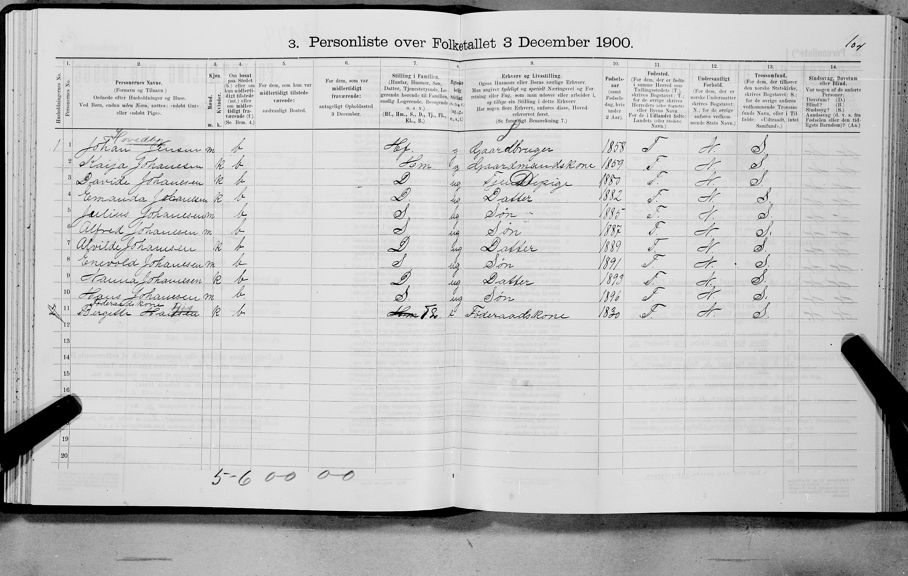 SAT, Folketelling 1900 for 1866 Hadsel herred, 1900, s. 150