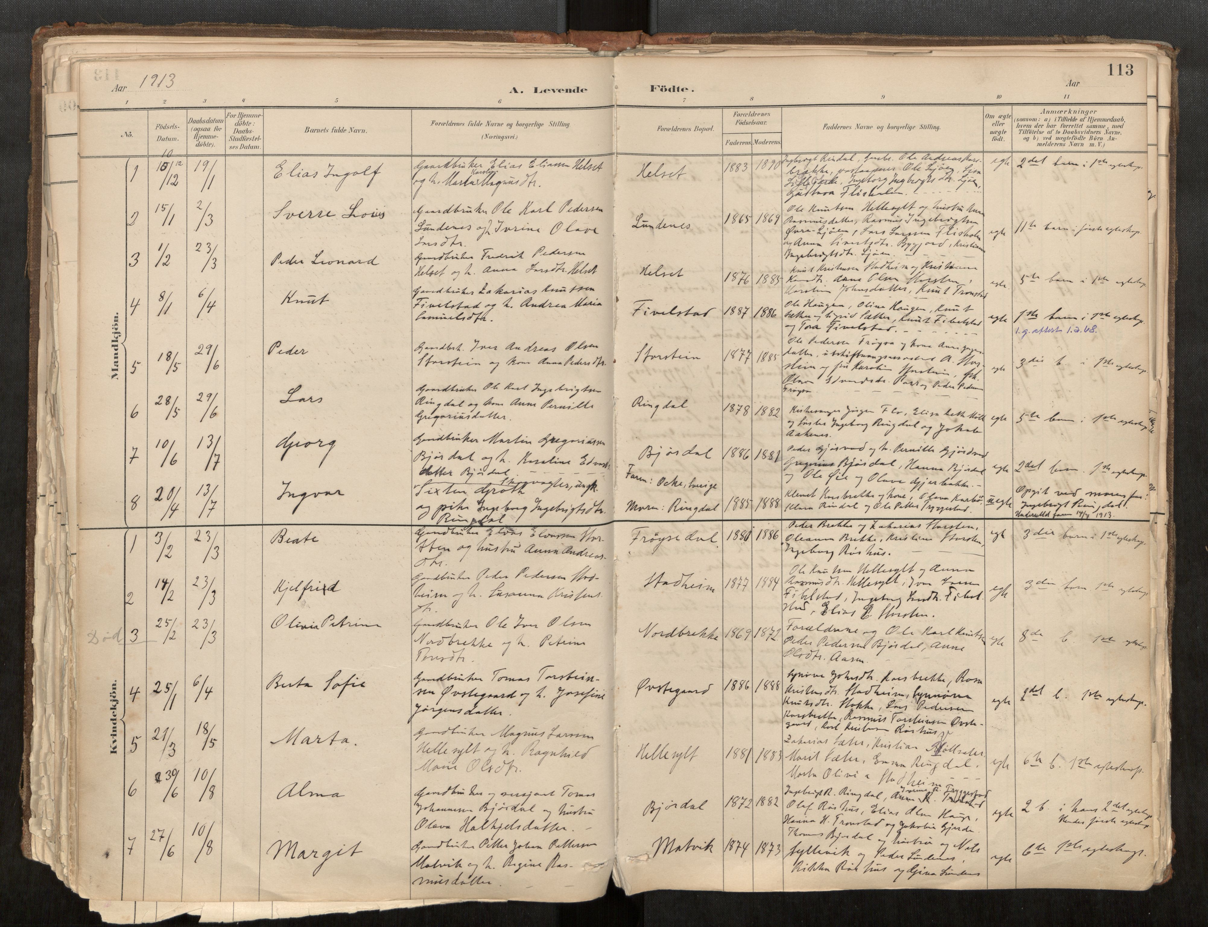 Sunnylven sokneprestkontor, AV/SAT-A-1007/H/Ha/Haa/L0002: Ministerialbok nr. 517A09, 1882-1939, s. 113