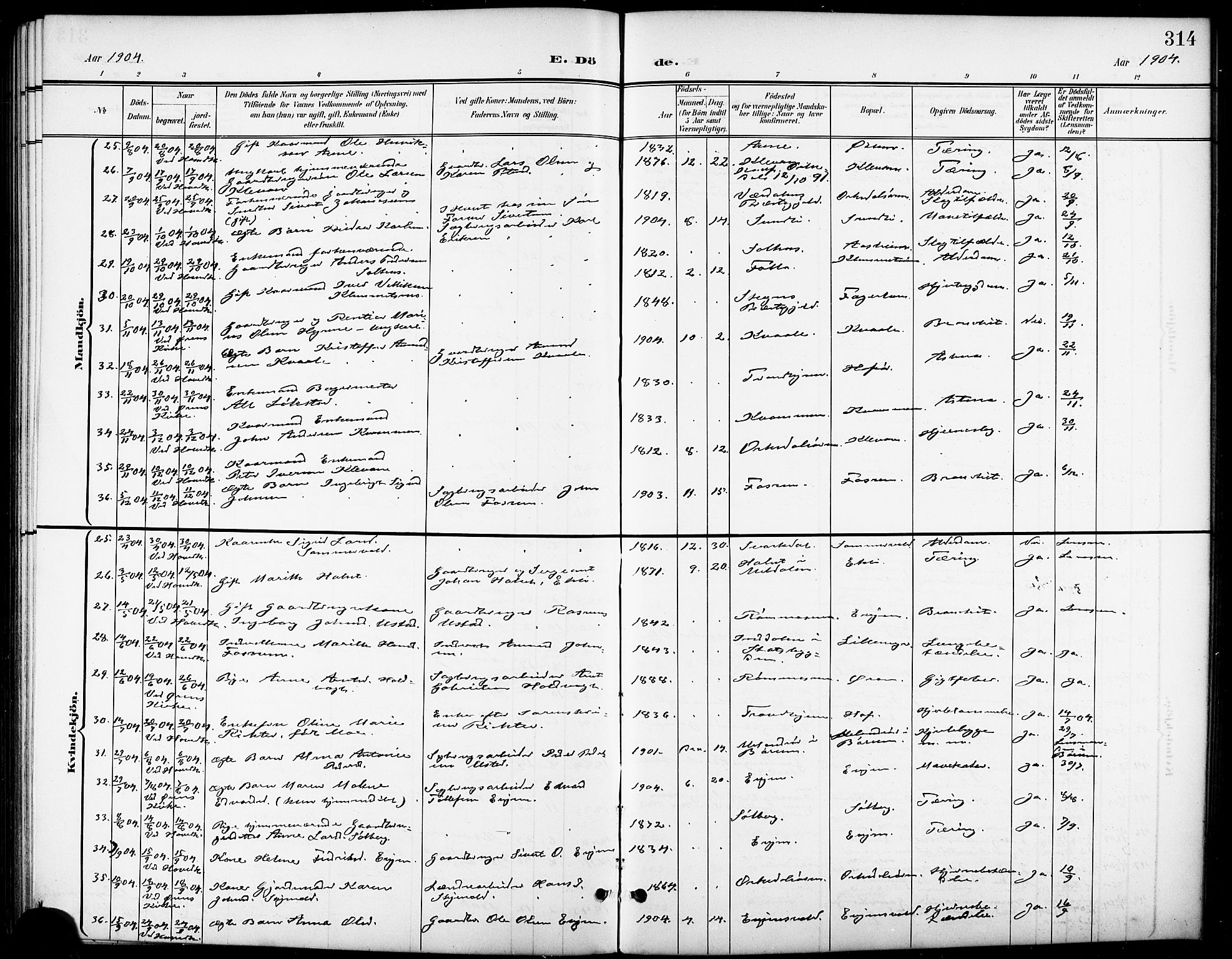 Ministerialprotokoller, klokkerbøker og fødselsregistre - Sør-Trøndelag, SAT/A-1456/668/L0819: Klokkerbok nr. 668C08, 1899-1912, s. 314