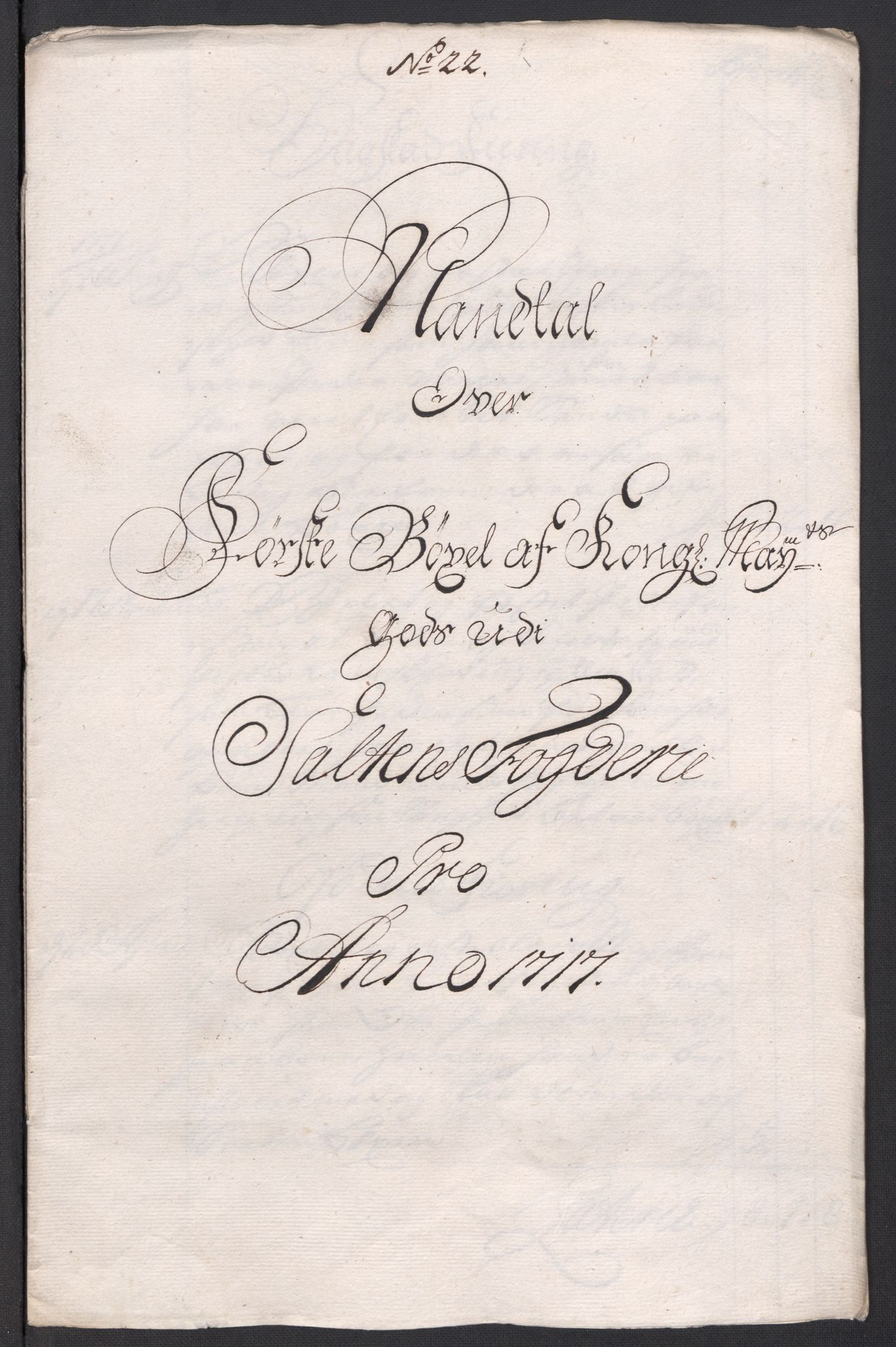 Rentekammeret inntil 1814, Reviderte regnskaper, Fogderegnskap, RA/EA-4092/R66/L4587: Fogderegnskap Salten, 1717, s. 254