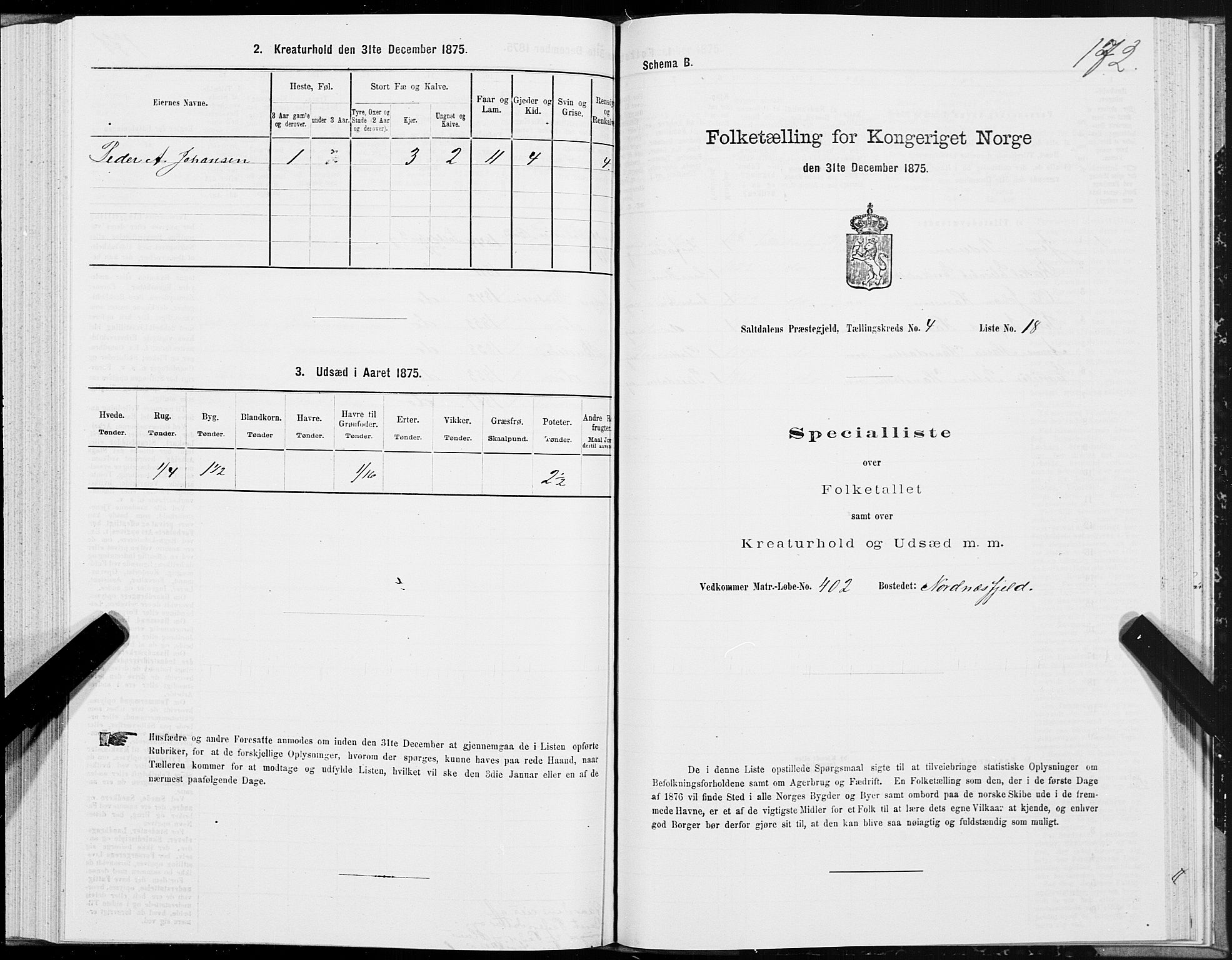 SAT, Folketelling 1875 for 1840P Saltdal prestegjeld, 1875, s. 2172