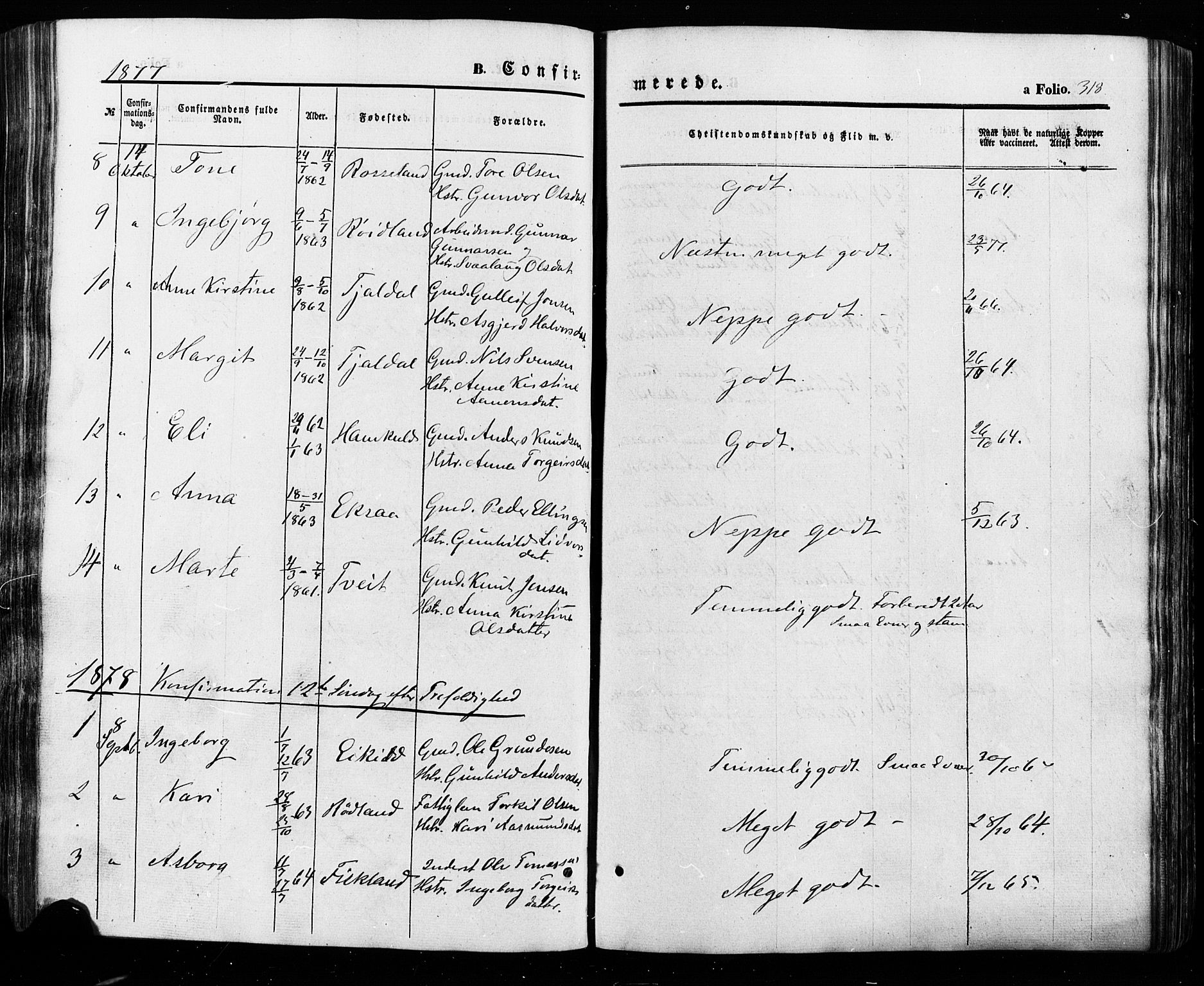 Åseral sokneprestkontor, AV/SAK-1111-0051/F/Fa/L0002: Ministerialbok nr. A 2, 1854-1884, s. 318
