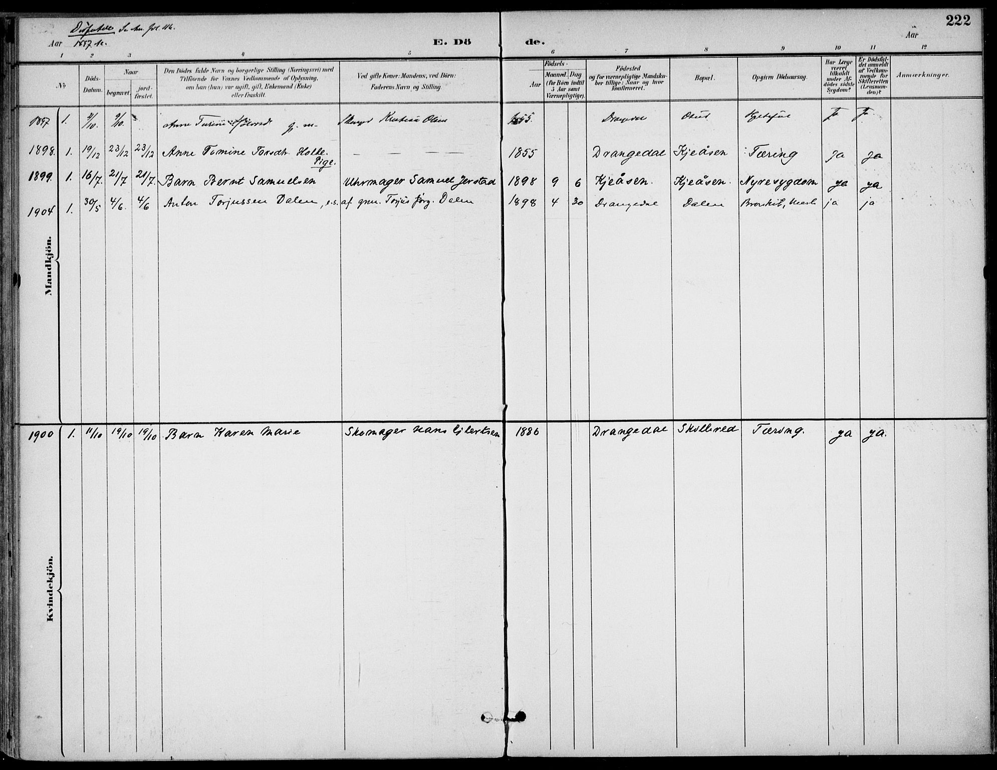 Drangedal kirkebøker, AV/SAKO-A-258/F/Fa/L0012: Ministerialbok nr. 12, 1895-1905, s. 222