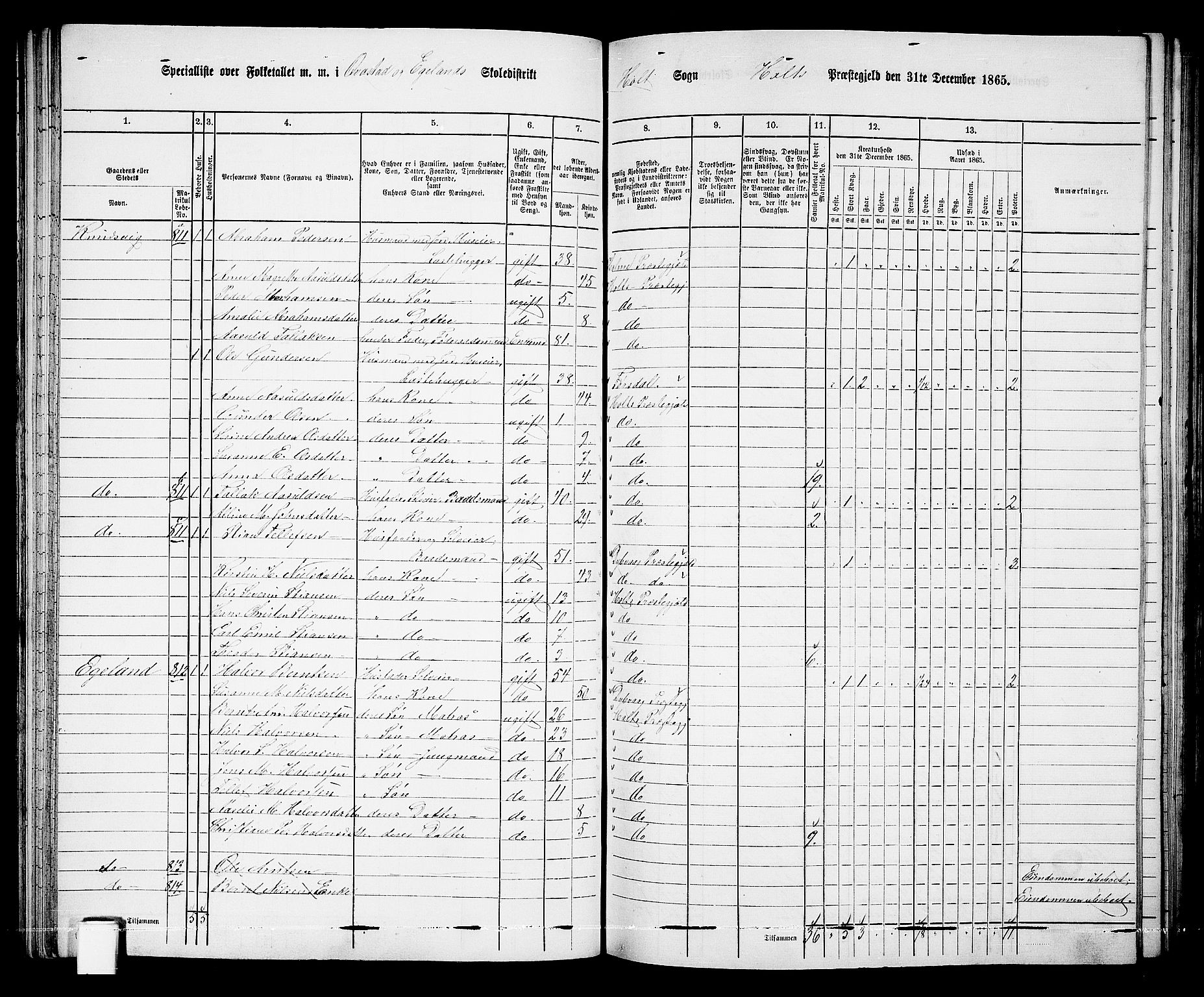 RA, Folketelling 1865 for 0914L Holt prestegjeld, Holt sokn, 1865, s. 55