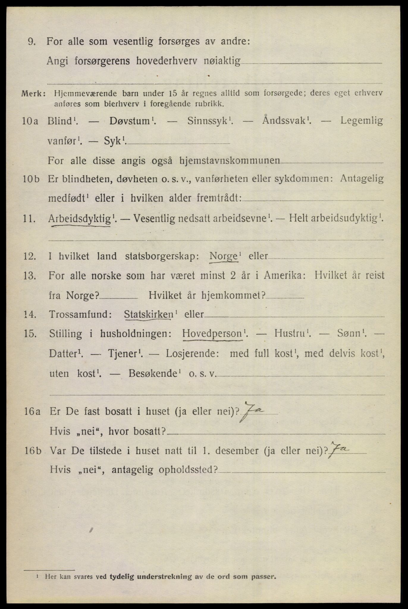 SAKO, Folketelling 1920 for 0620 Hol herred, 1920, s. 2690