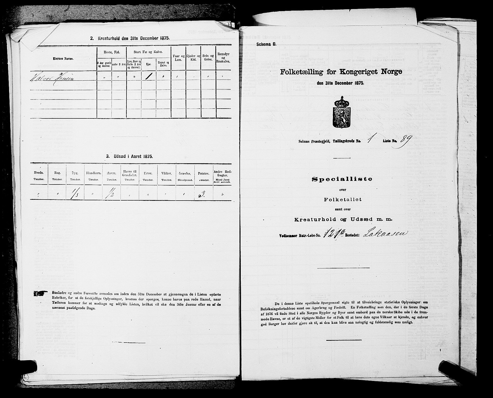 SAKO, Folketelling 1875 for 0818P Solum prestegjeld, 1875, s. 266