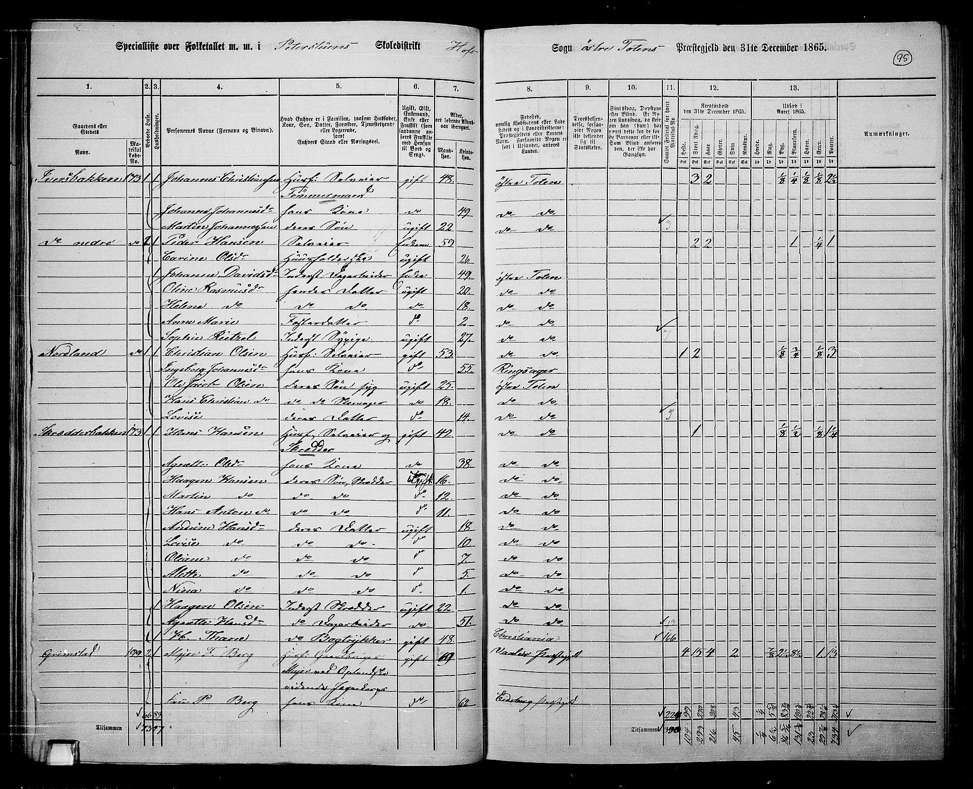 RA, Folketelling 1865 for 0528P Østre Toten prestegjeld, 1865, s. 216