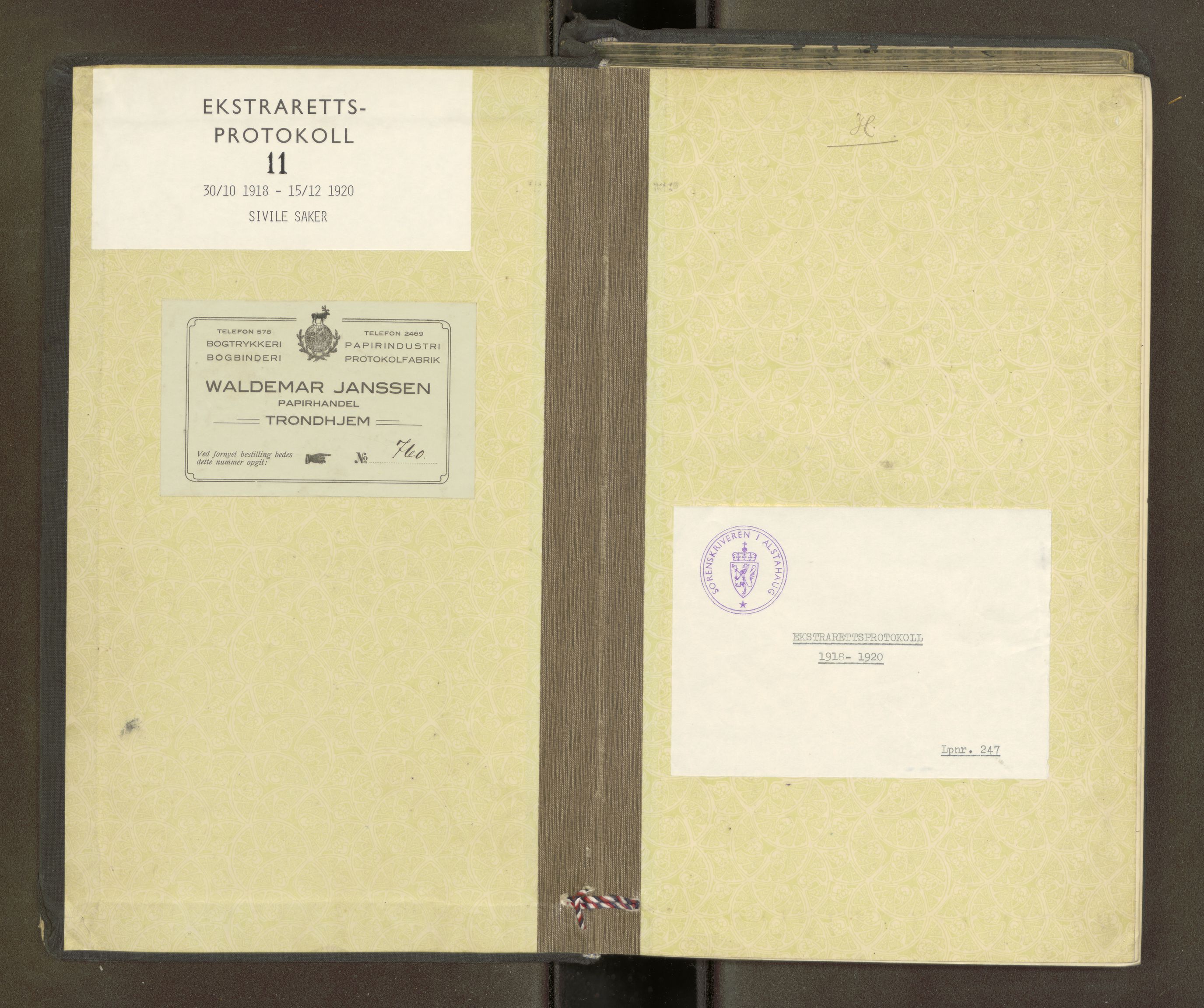 Søndre Helgeland sorenskriveri, SAT/A-4575/1/1/1B/1Bb/L0011: Ekstrarettsprotokoll, 1918-1920