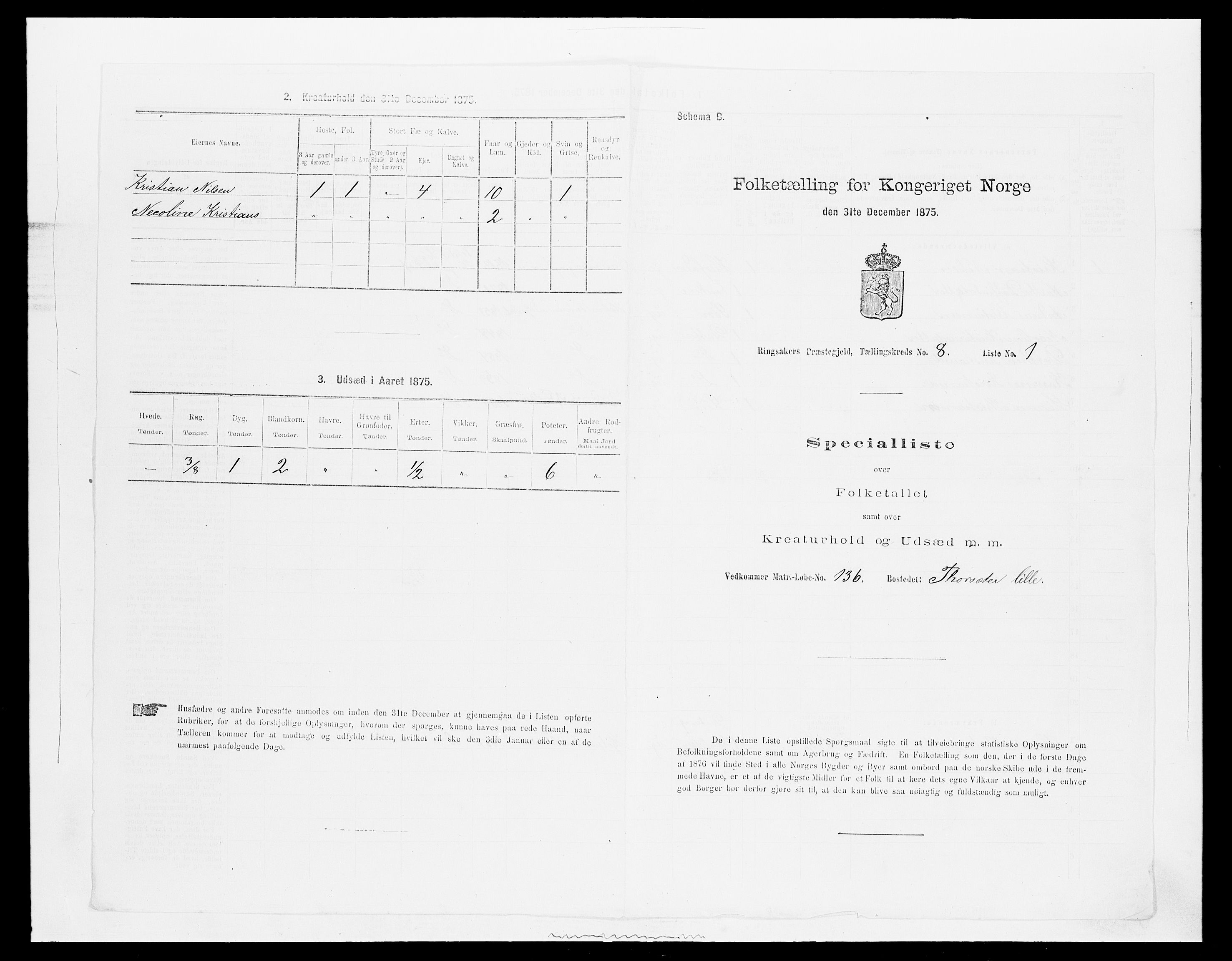 SAH, Folketelling 1875 for 0412P Ringsaker prestegjeld, 1875, s. 1628