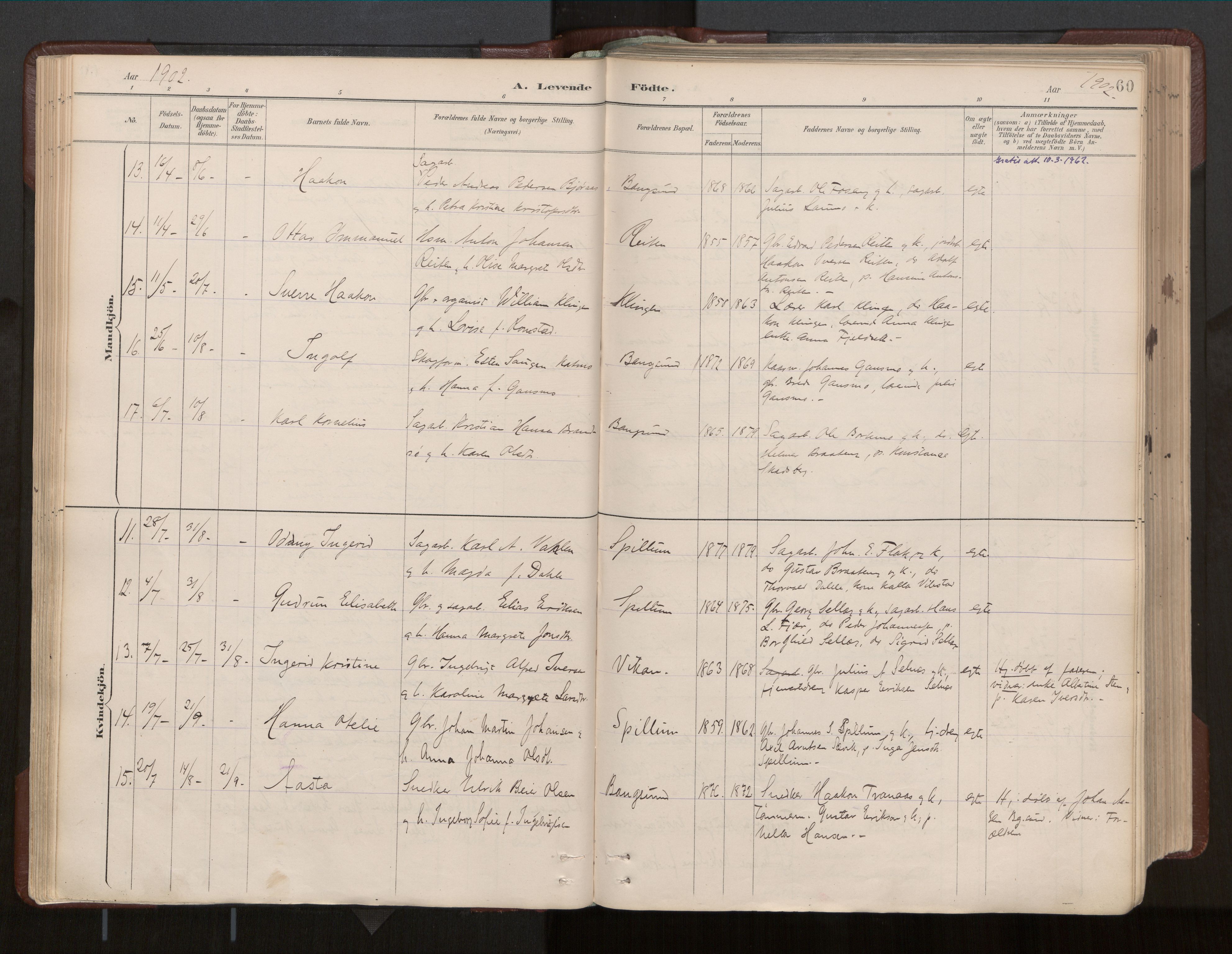 Ministerialprotokoller, klokkerbøker og fødselsregistre - Nord-Trøndelag, AV/SAT-A-1458/770/L0589: Ministerialbok nr. 770A03, 1887-1929, s. 60