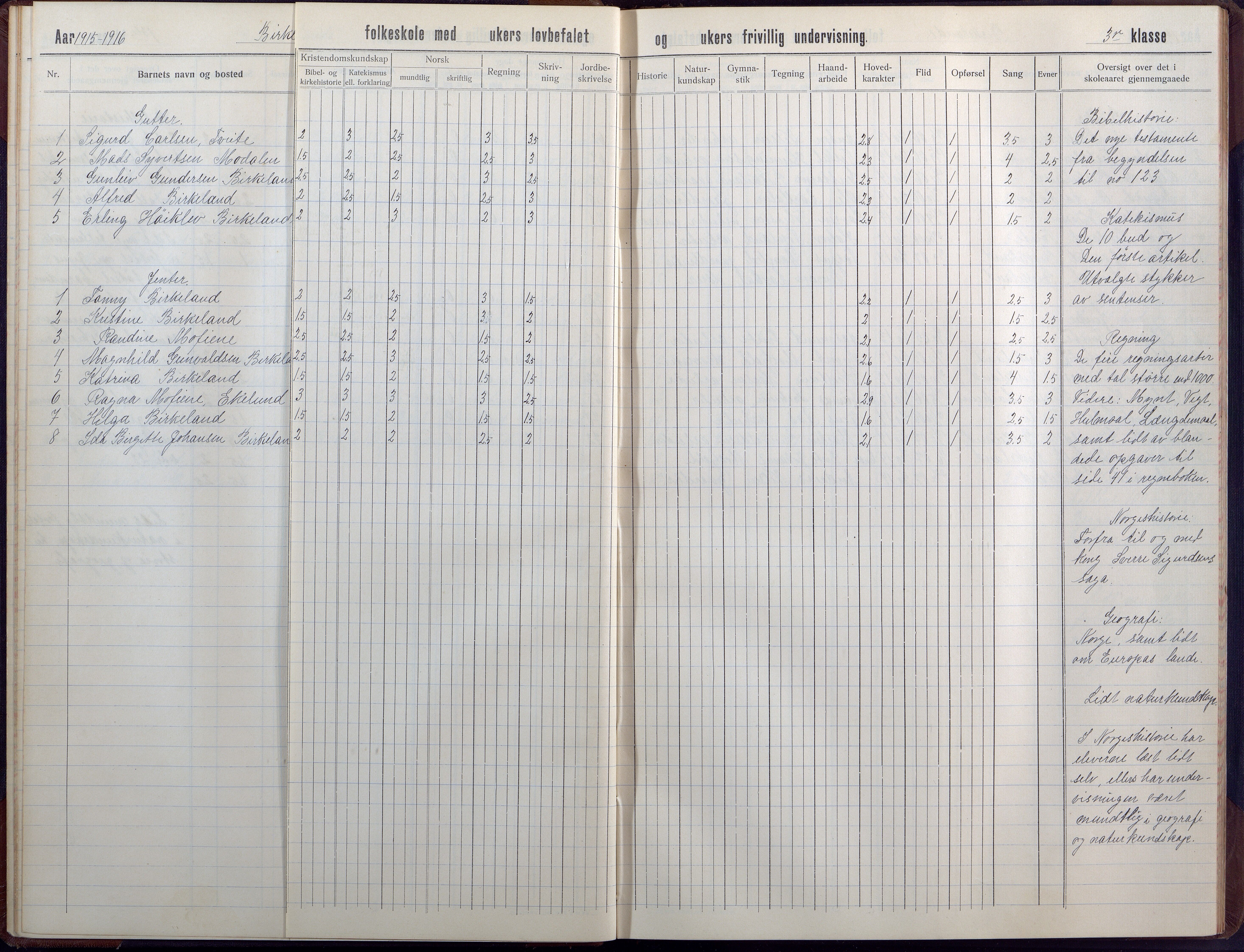 Birkenes kommune, Birkenes krets/Birkeland folkeskole frem til 1991, AAKS/KA0928-550a_91/F02/L0008: Skoleprotokoll, 1911-1930