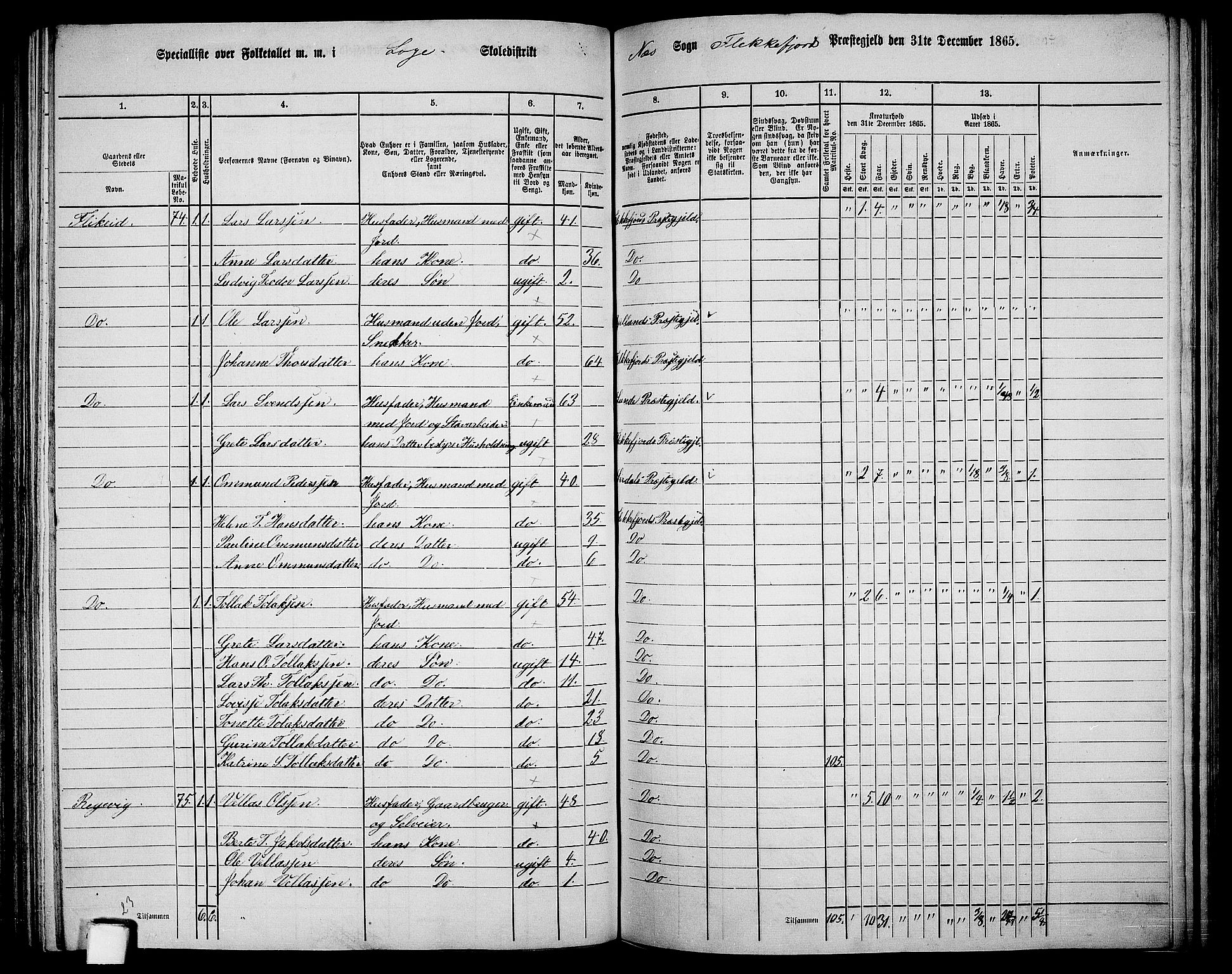 RA, Folketelling 1865 for 1042L Flekkefjord prestegjeld, Nes sokn og Hidra sokn, 1865, s. 126