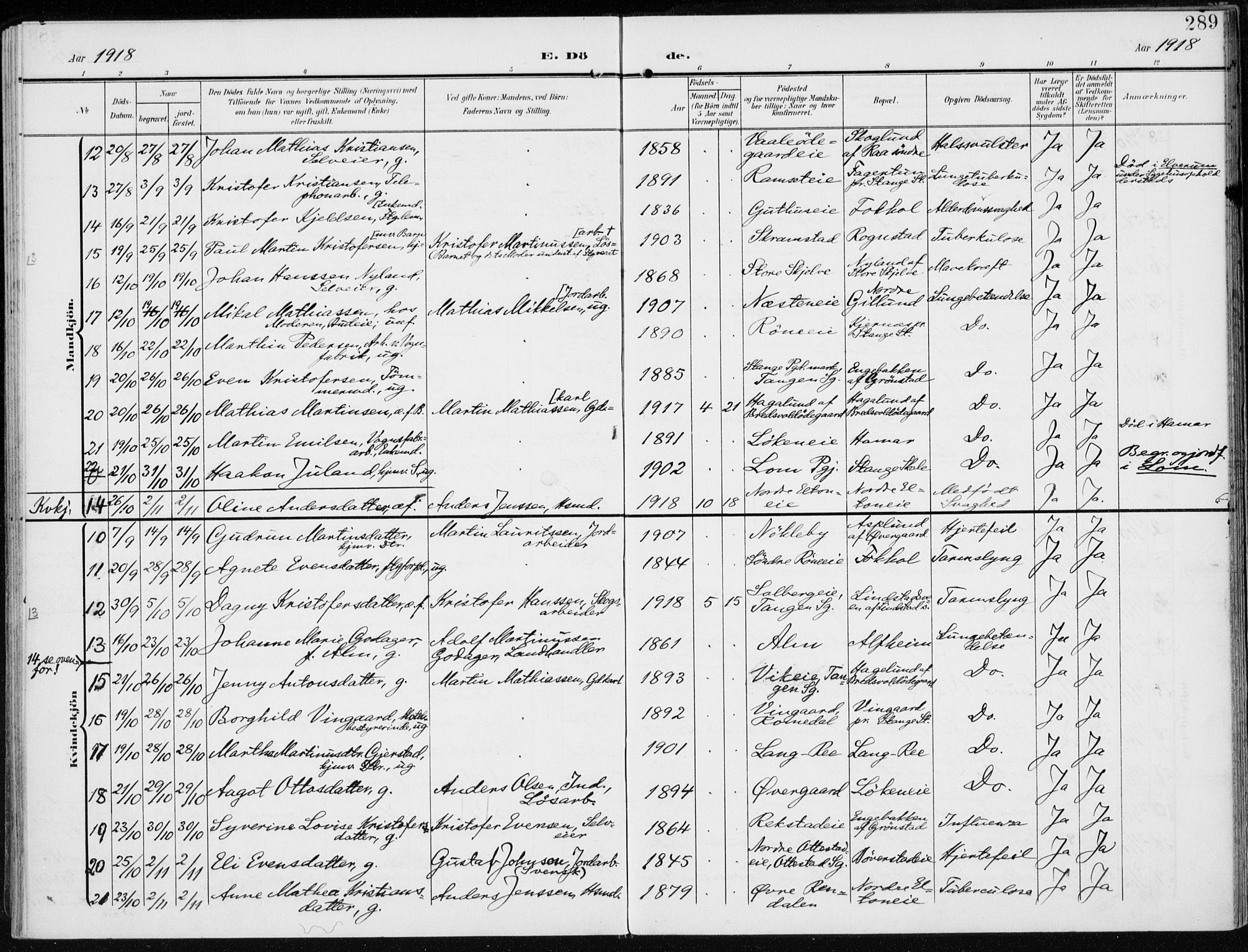 Stange prestekontor, AV/SAH-PREST-002/K/L0024: Ministerialbok nr. 24, 1906-1922, s. 289