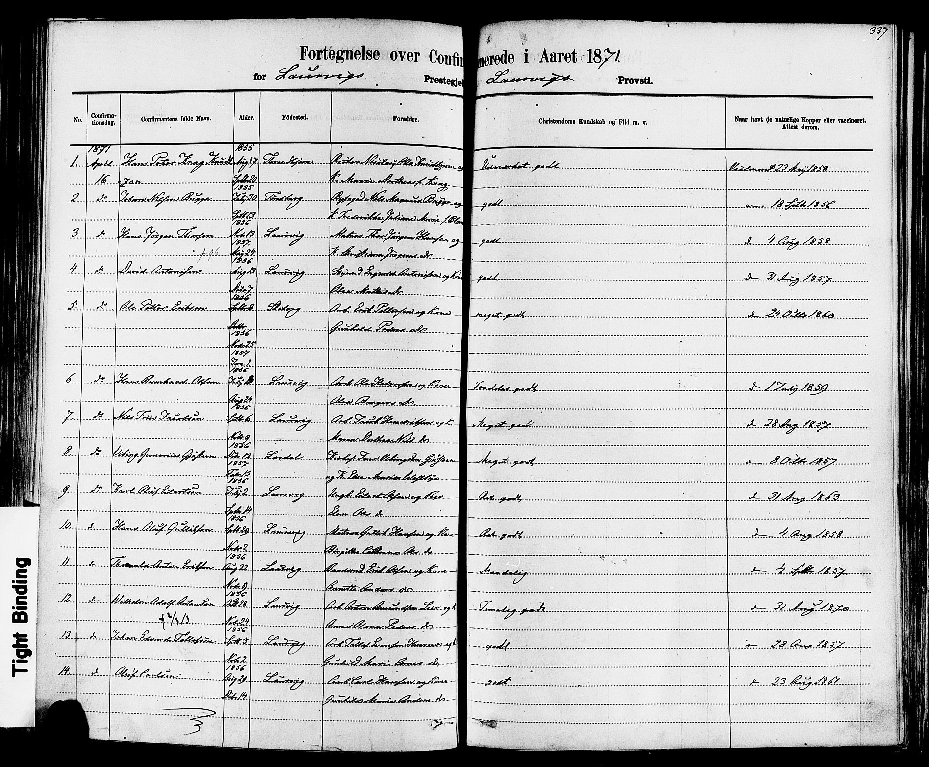 Larvik kirkebøker, AV/SAKO-A-352/F/Fa/L0006: Ministerialbok nr. I 6, 1871-1883, s. 337