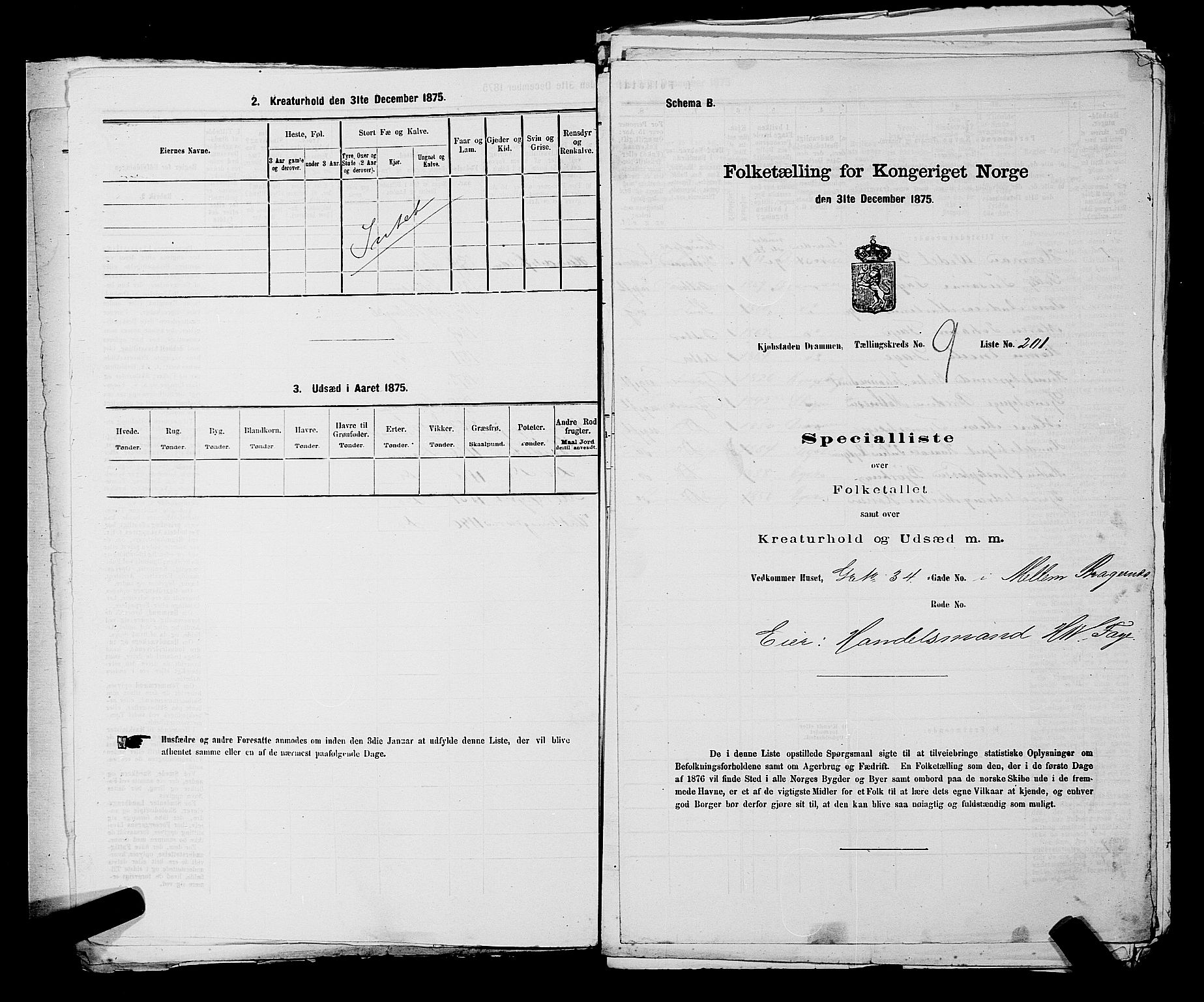 SAKO, Folketelling 1875 for 0602 Drammen kjøpstad, 1875, s. 810