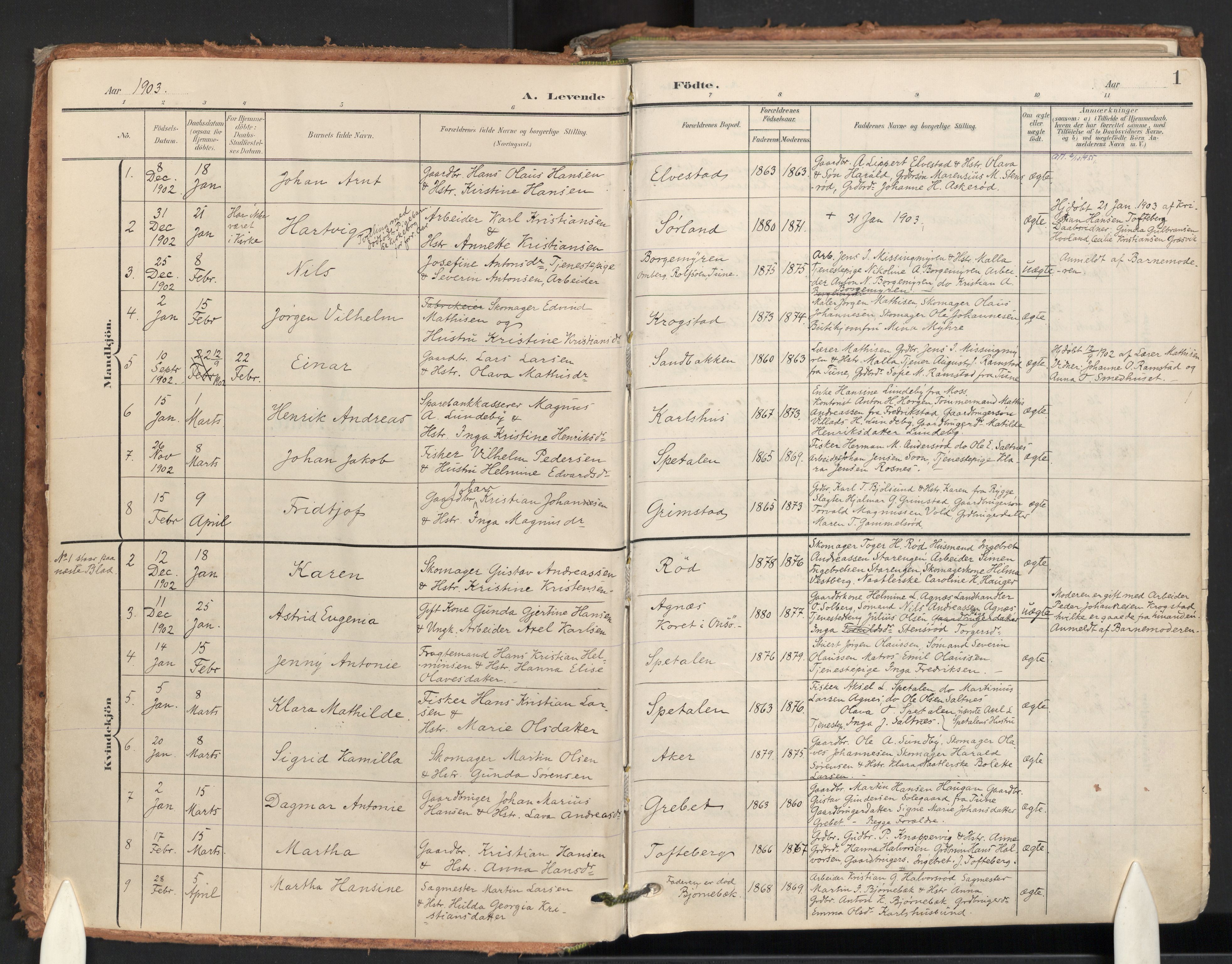 Råde prestekontor kirkebøker, AV/SAO-A-2009/F/Fa/L0008: Ministerialbok nr. 8, 1903-1924, s. 1