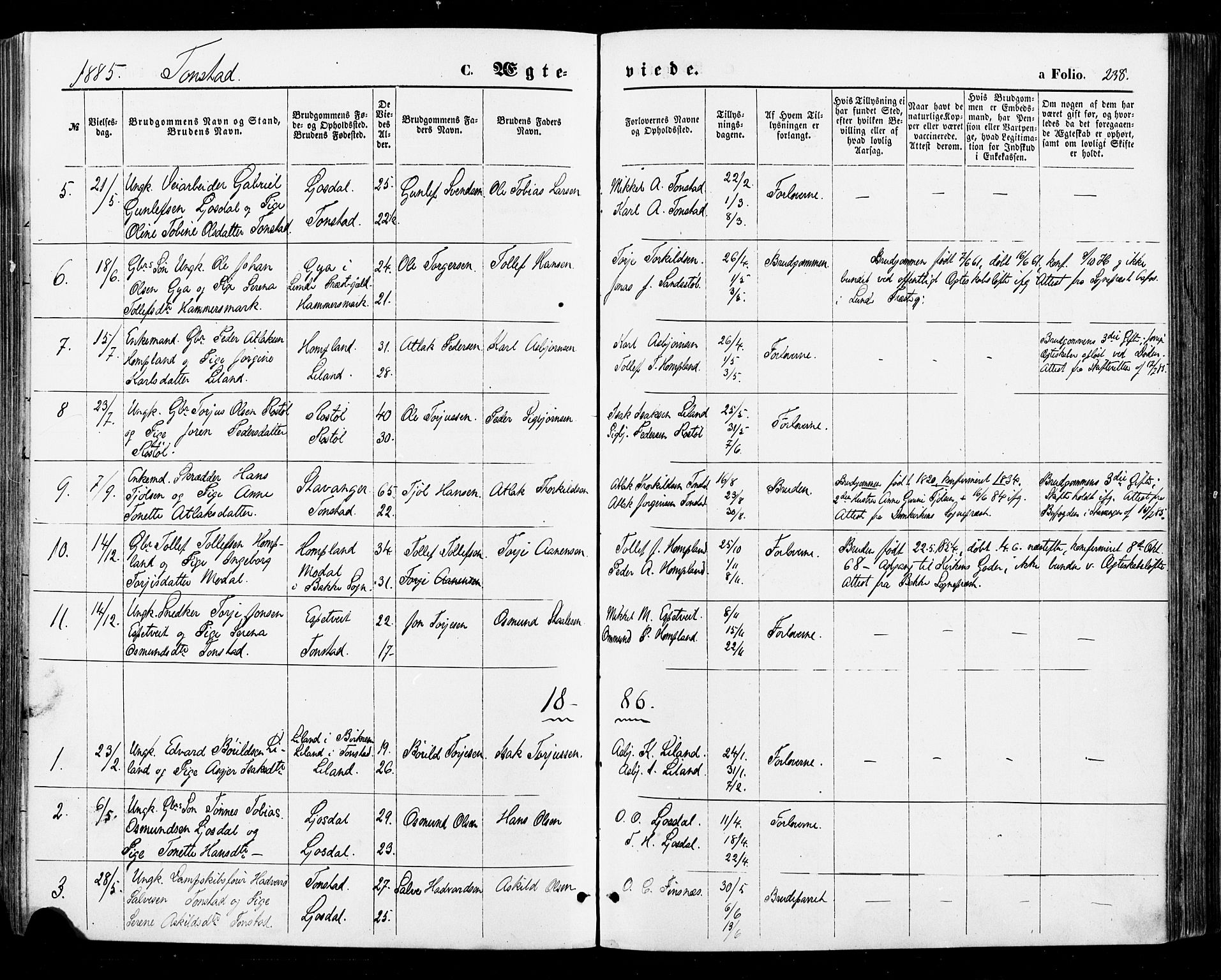 Sirdal sokneprestkontor, SAK/1111-0036/F/Fa/Fab/L0003: Ministerialbok nr. A 3, 1874-1886, s. 238