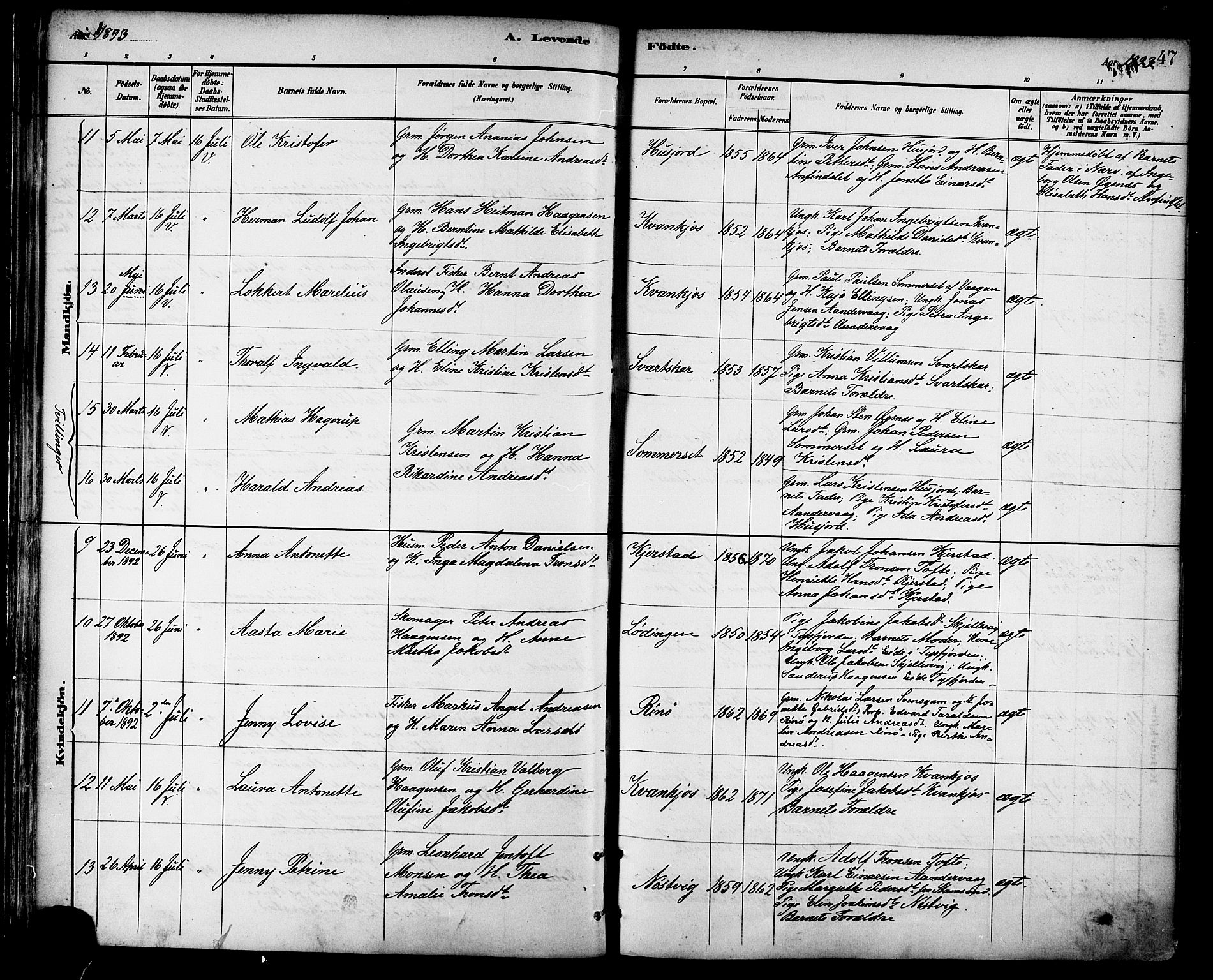 Ministerialprotokoller, klokkerbøker og fødselsregistre - Nordland, AV/SAT-A-1459/872/L1035: Ministerialbok nr. 872A10, 1884-1896, s. 47