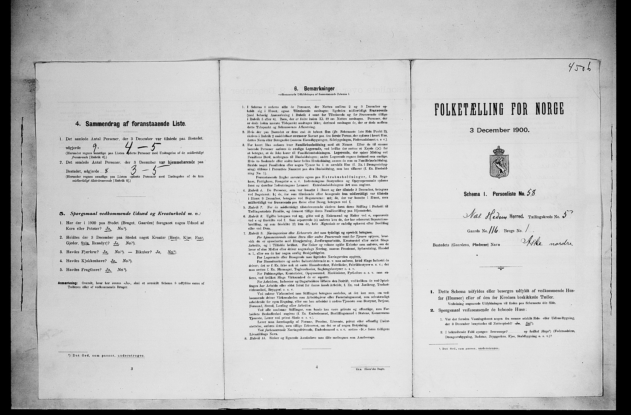 SAH, Folketelling 1900 for 0411 Nes herred, 1900, s. 818