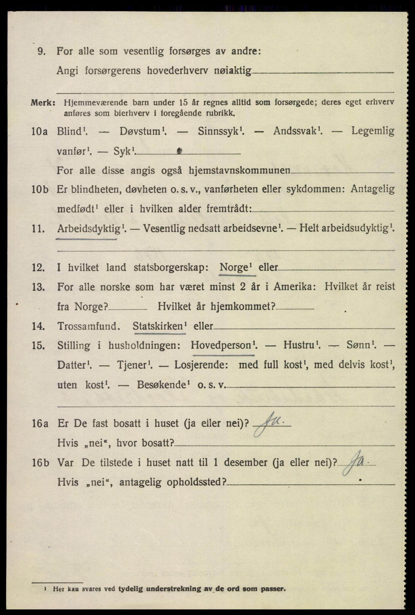 SAK, Folketelling 1920 for 0936 Hornnes herred, 1920, s. 1668