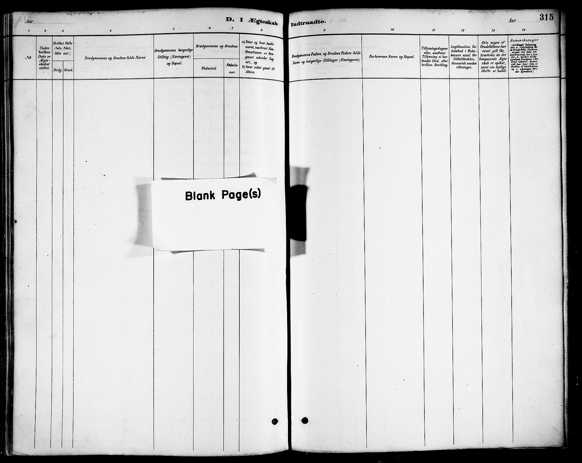 Ministerialprotokoller, klokkerbøker og fødselsregistre - Nordland, AV/SAT-A-1459/817/L0268: Klokkerbok nr. 817C03, 1884-1920, s. 315